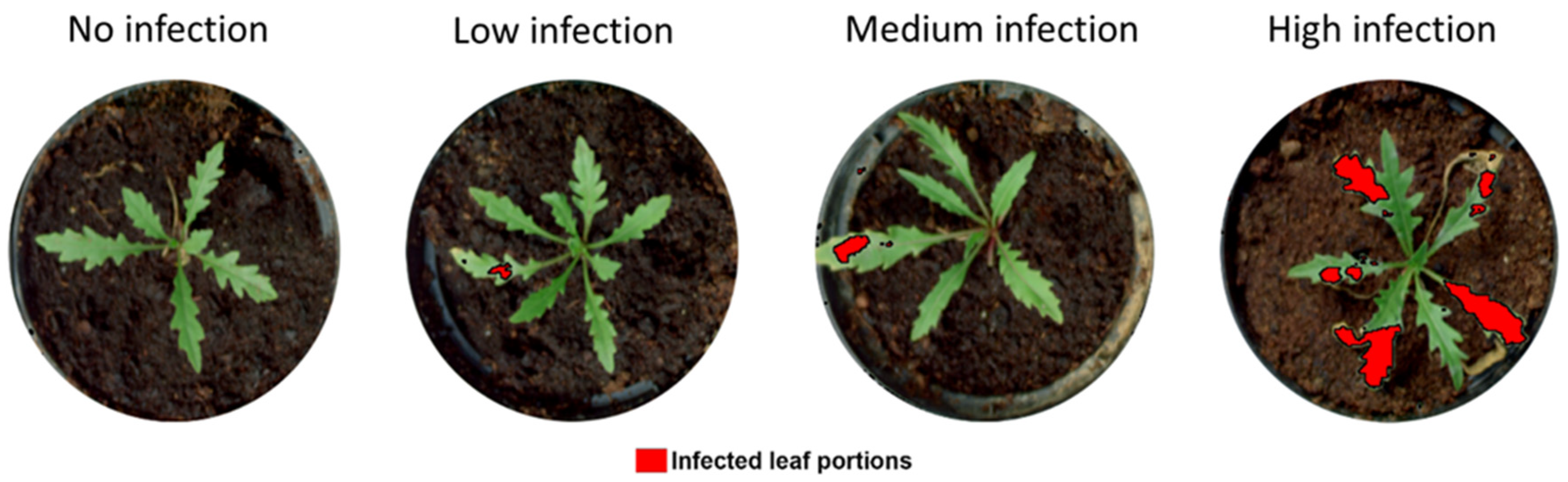 Agriculture 11 00337 g009 Agriculture 11 00337 g009