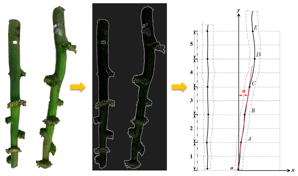 Agriculture 11 00362 g003 Agriculture 11 00362 g003