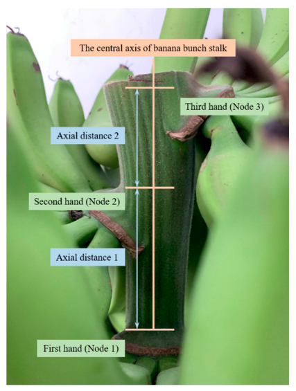 Agriculture 11 00362 g004 Agriculture 11 00362 g004