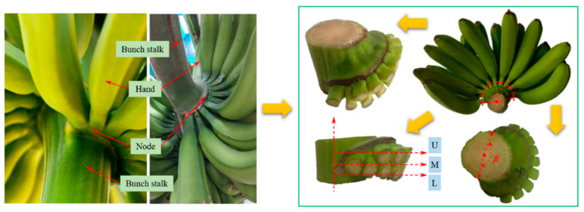 Agriculture 11 00362 g005 Agriculture 11 00362 g005