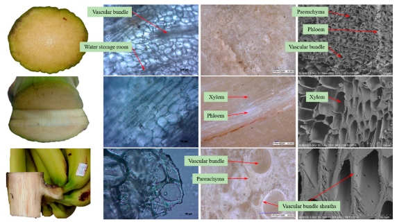 Agriculture 11 00362 g013 Agriculture 11 00362 g013