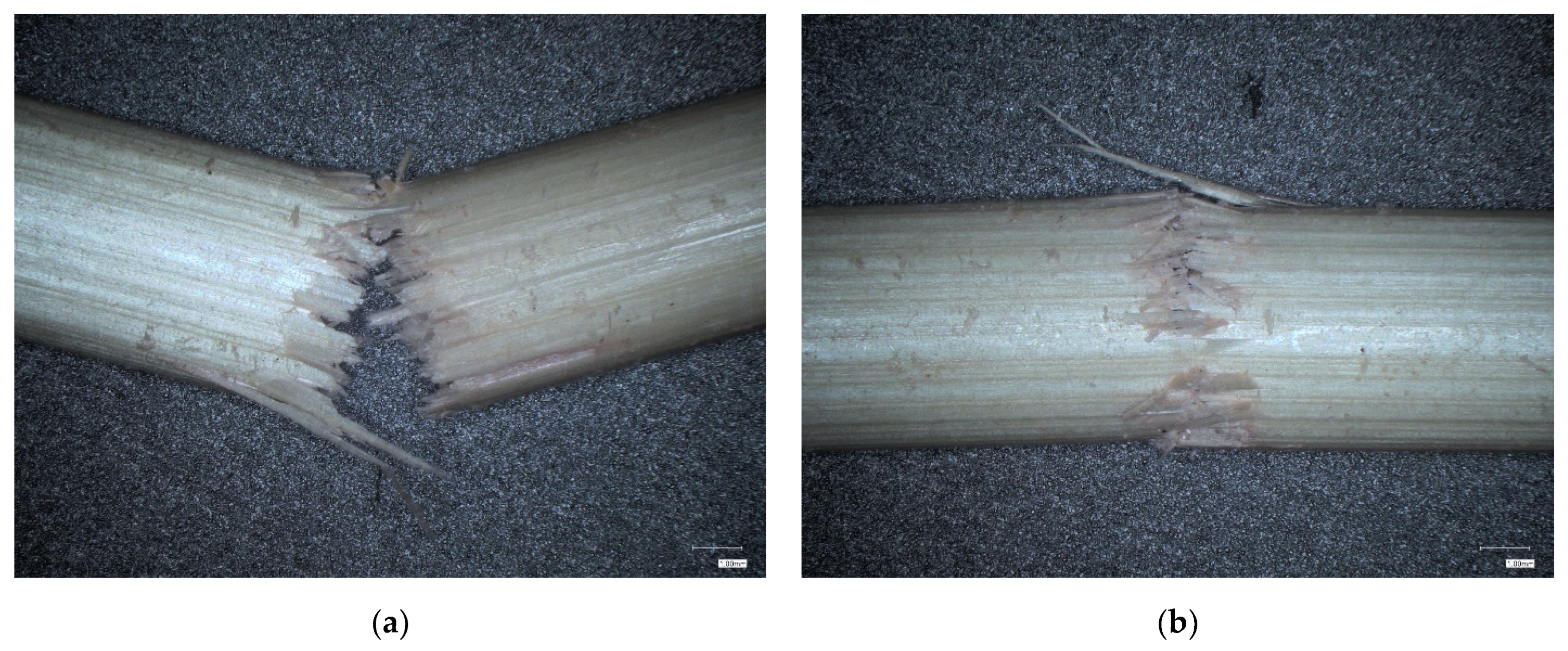 Agriculture 11 00392 g009