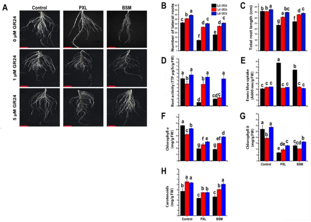 Agriculture 11 00419 g001 Agriculture 11 00419 g001