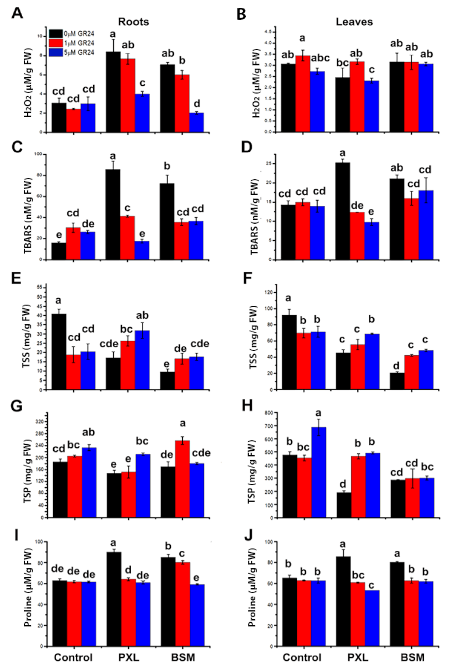 Agriculture 11 00419 g003 Agriculture 11 00419 g003