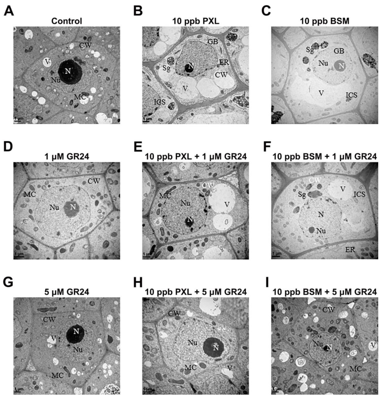 Agriculture 11 00419 g004 Agriculture 11 00419 g004