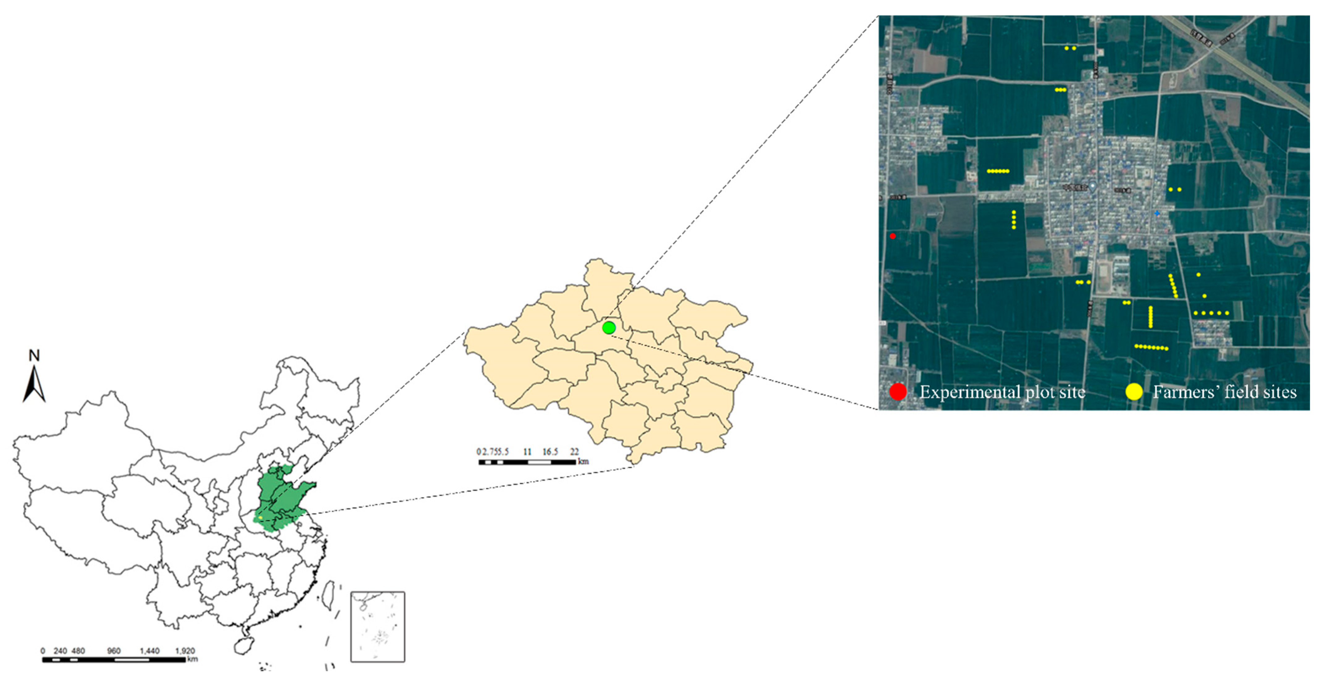 Agriculture 11 00480 g002