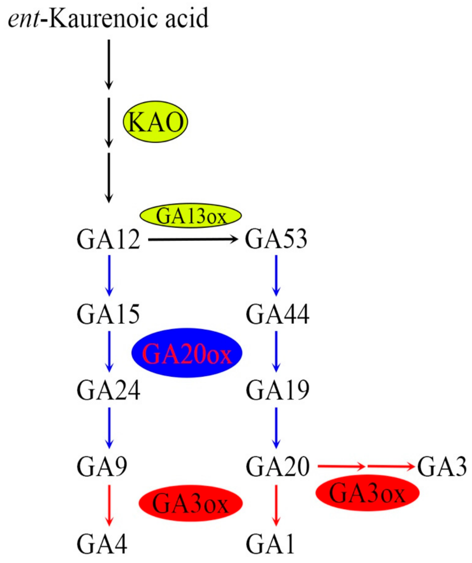 Agriculture 11 00611 g002