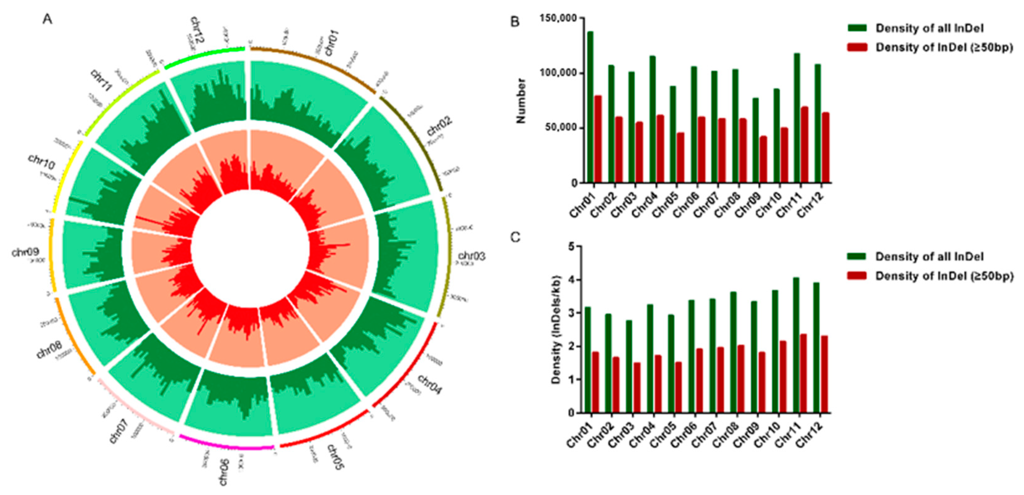 Development of InDel markers for interspecific hybridization