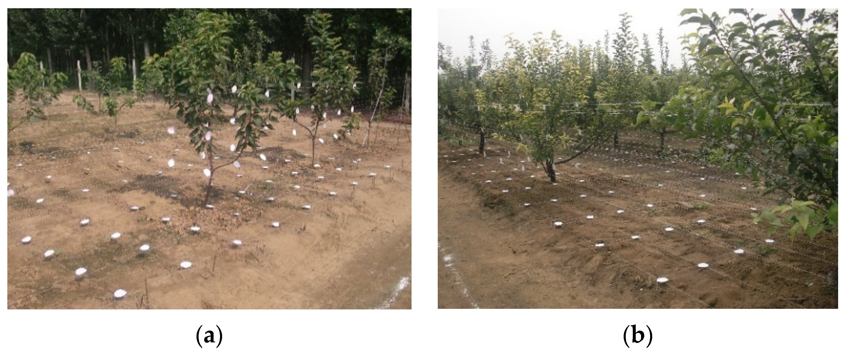 Agriculture 11 00753 g005