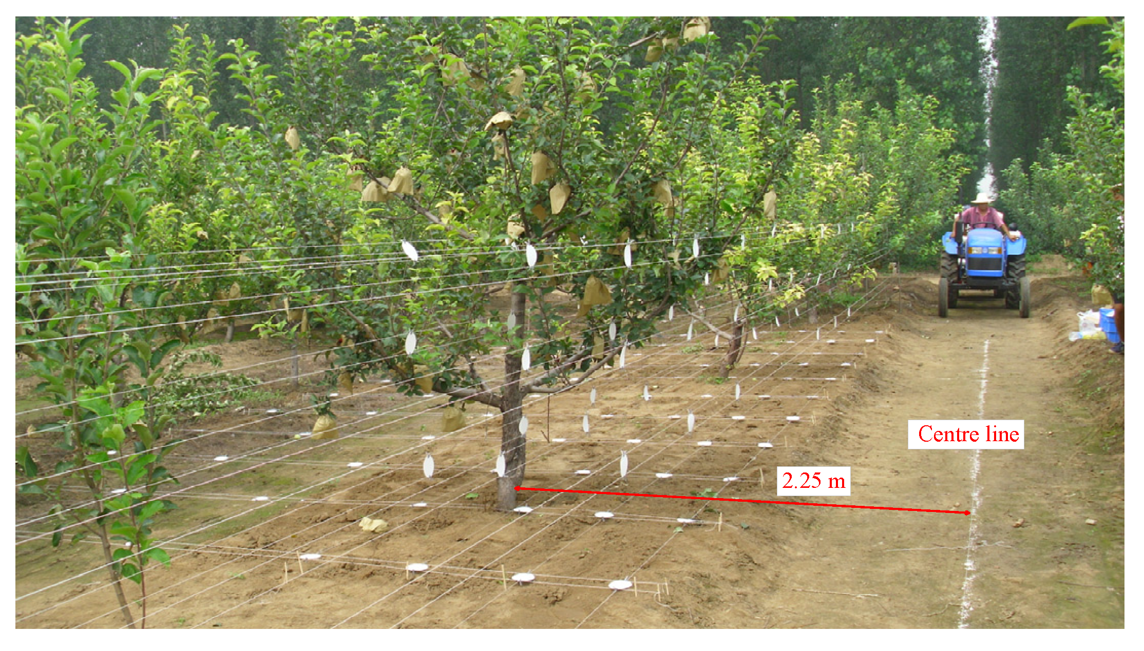 Agriculture 11 00753 g008