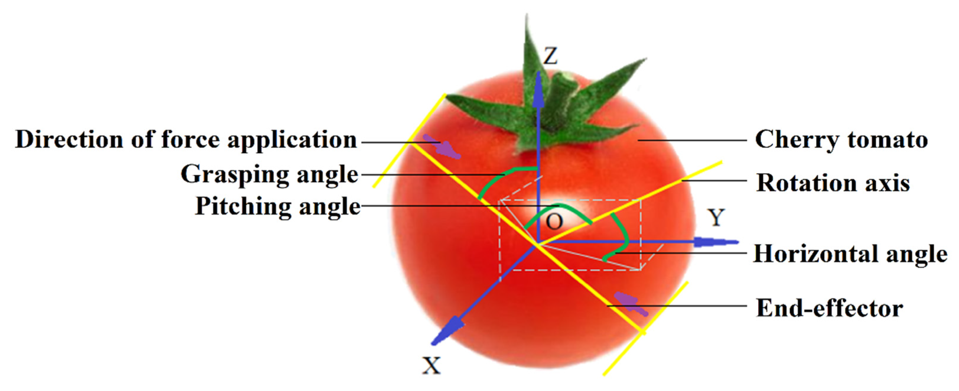 Agriculture 11 00815 g003