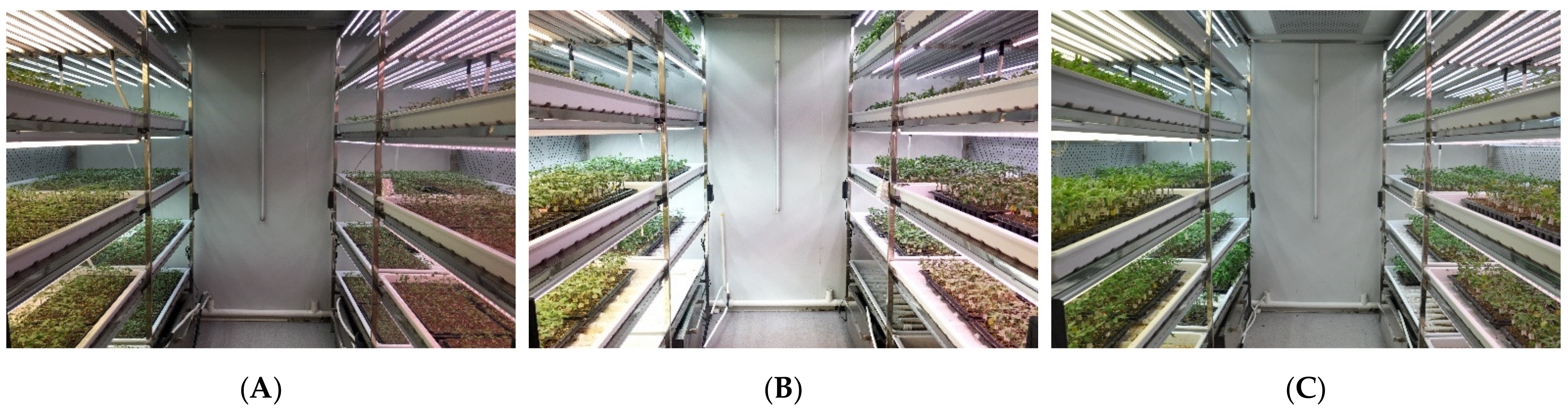 Agriculture 11 00816 g001