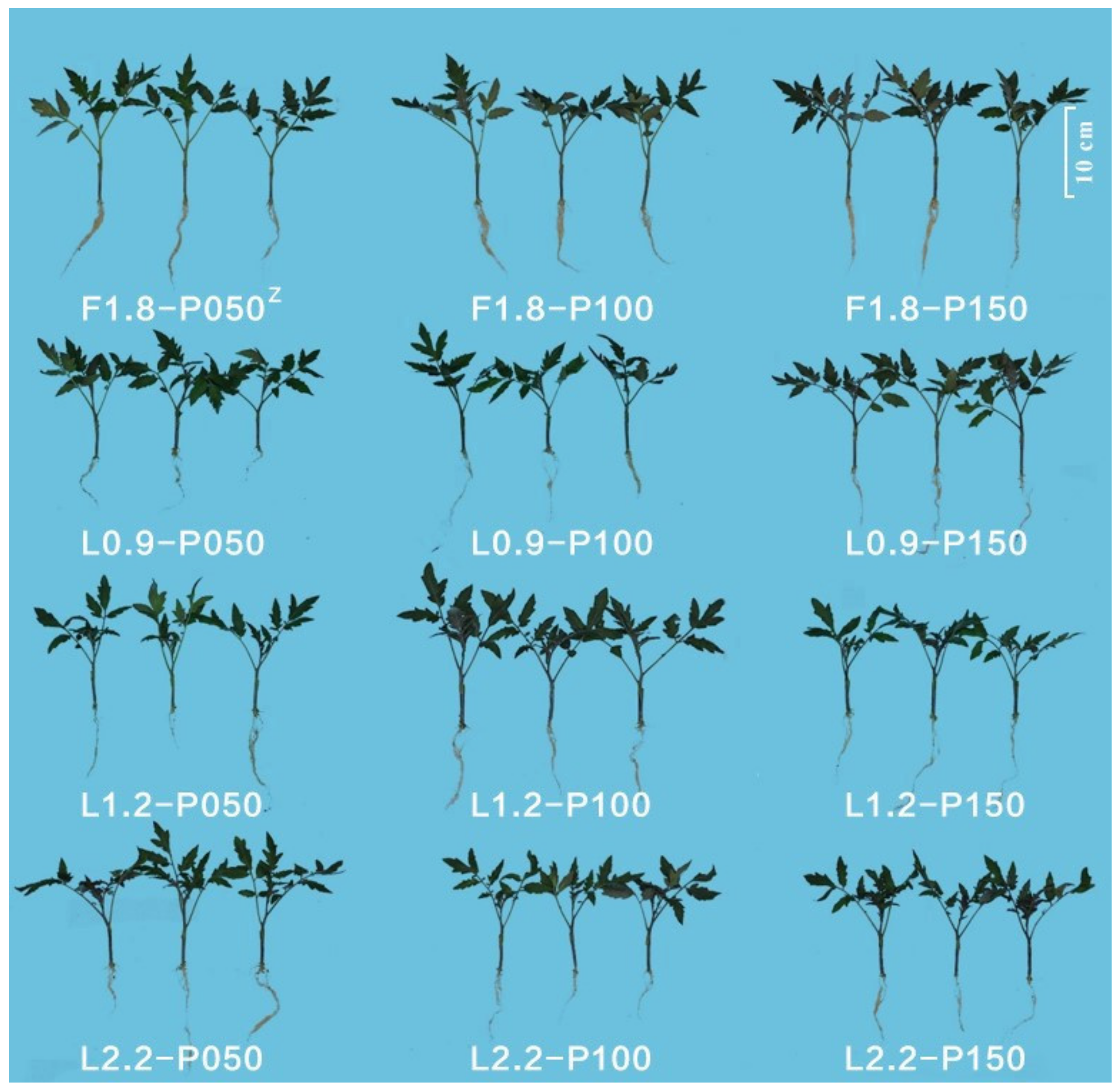 Agriculture 11 00816 g003