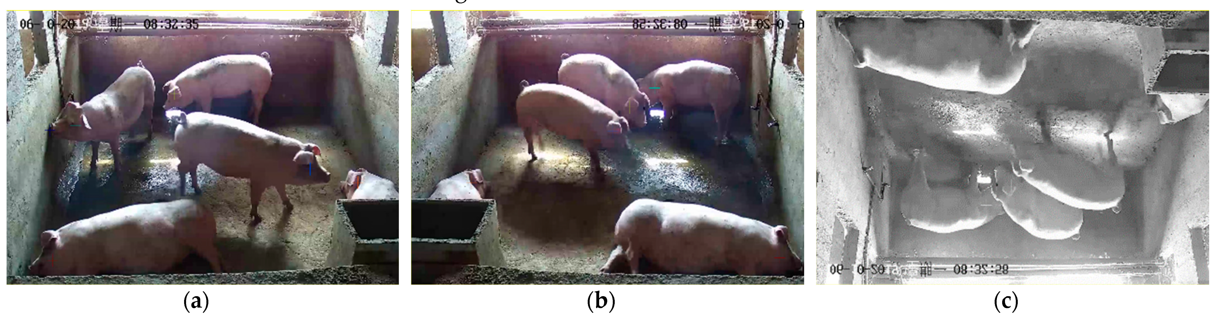 Agriculture 11 00843 g005