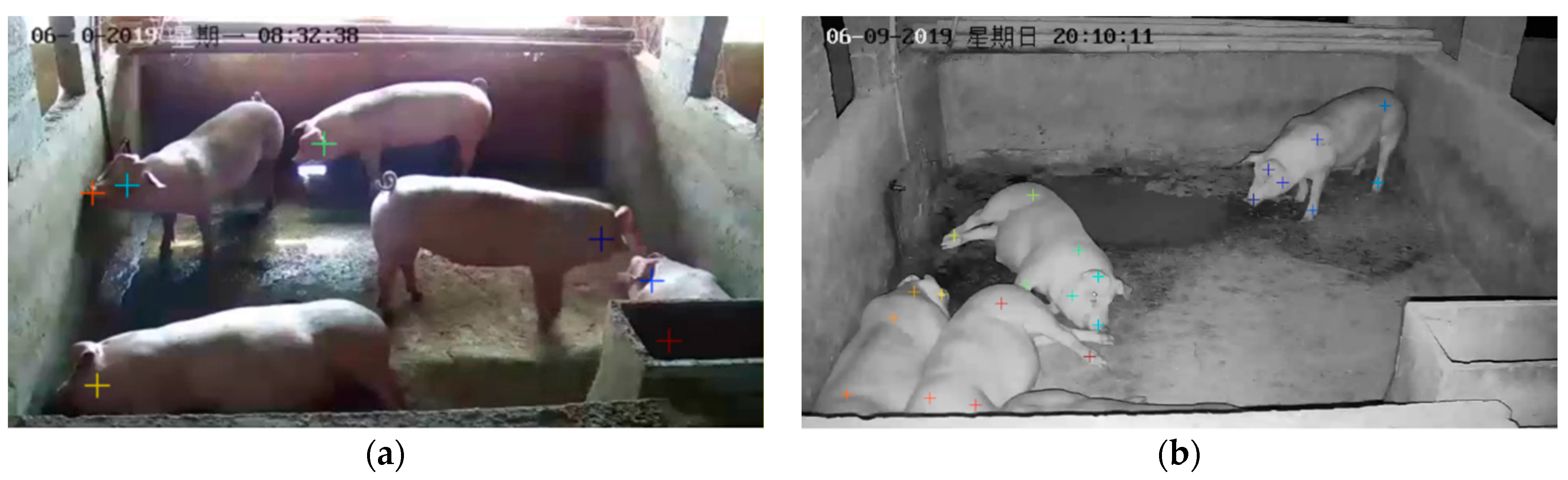 Agriculture 11 00843 g006