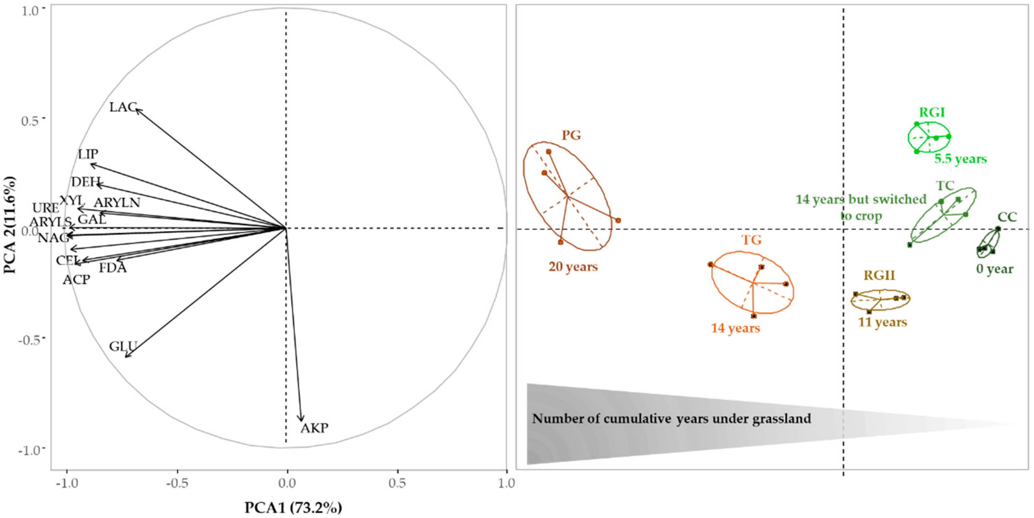 Agriculture 11 00909 g002