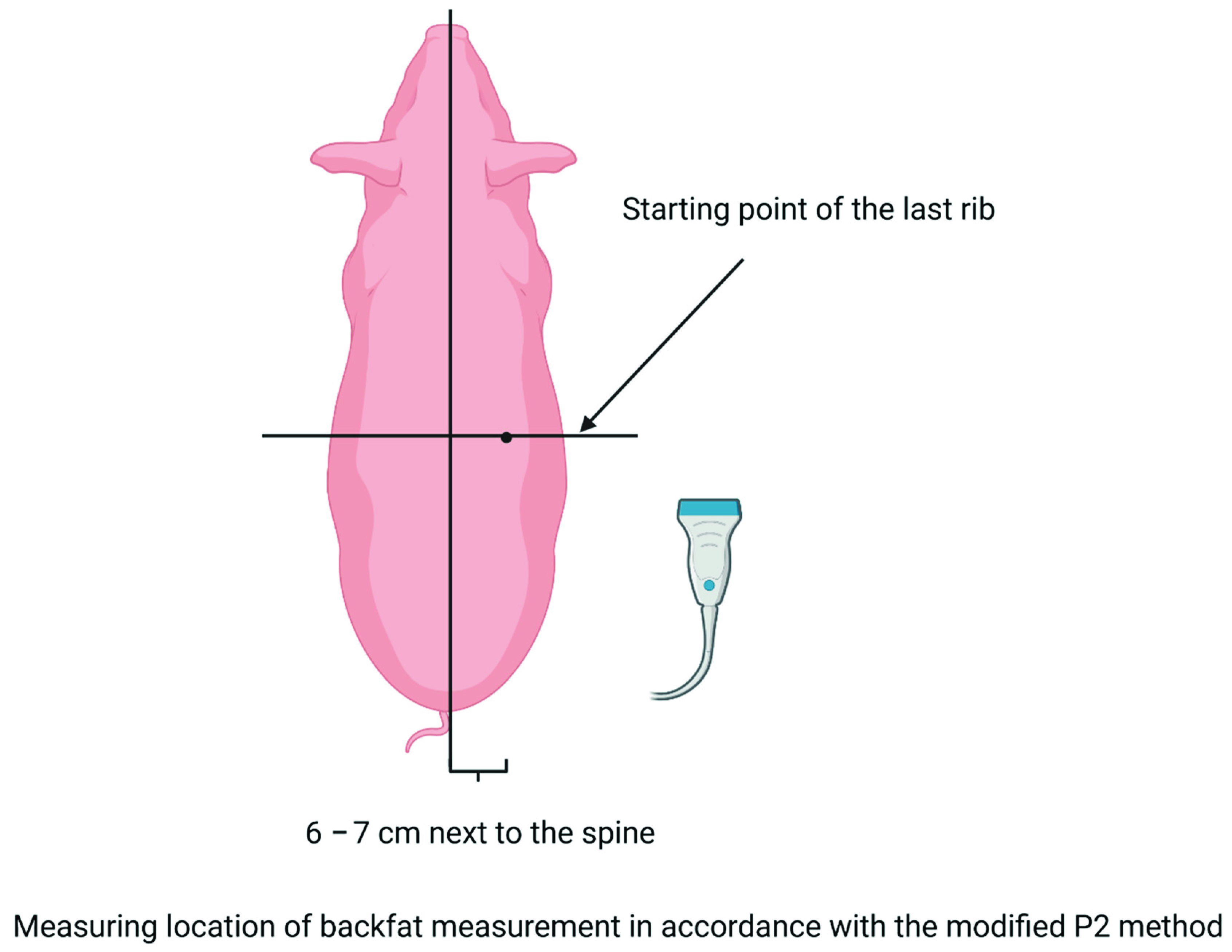 Agriculture 11 01013 g004