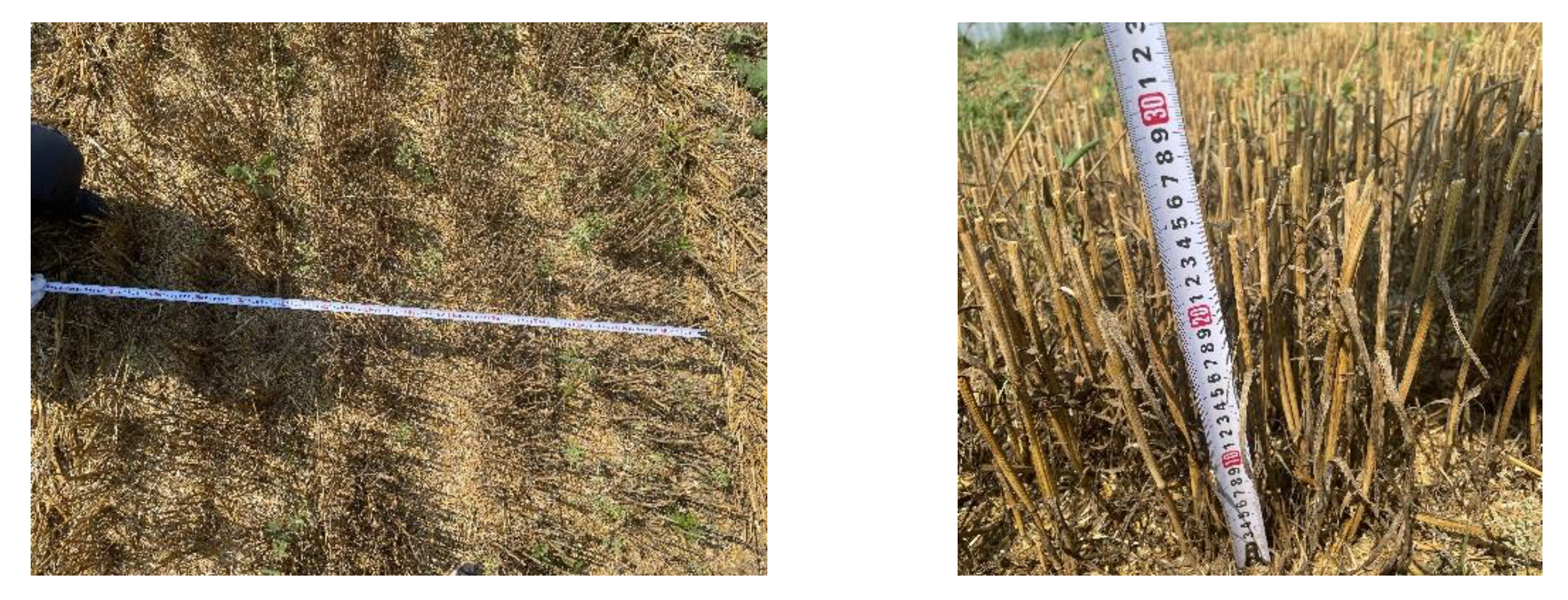 Agriculture 11 01023 g010