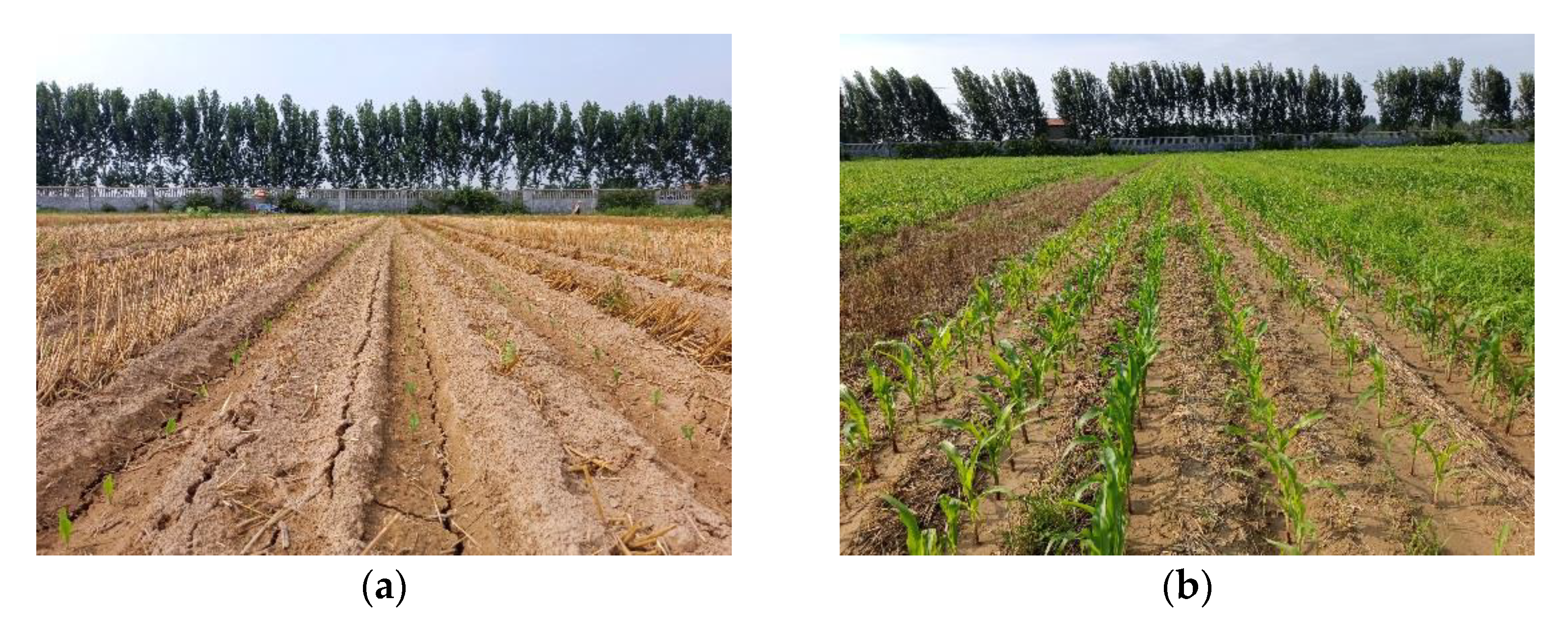 Agriculture 11 01023 g012