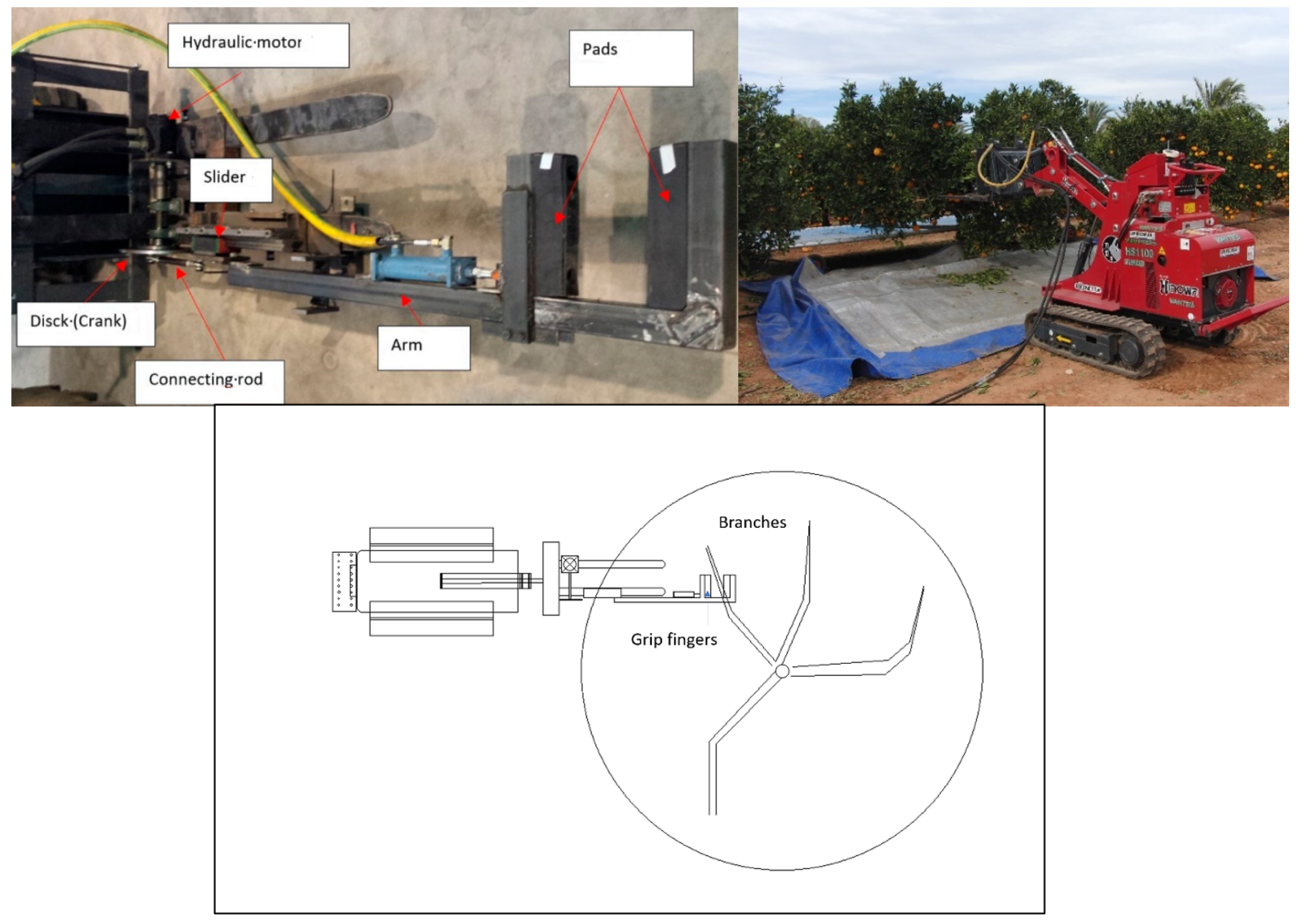 Agriculture | Free Full-Text | Comparison of a Lightweight Experimental  Shaker and an Orchard Tractor Mounted Trunk Shaker for Fresh Market Citrus  Harvesting | HTML