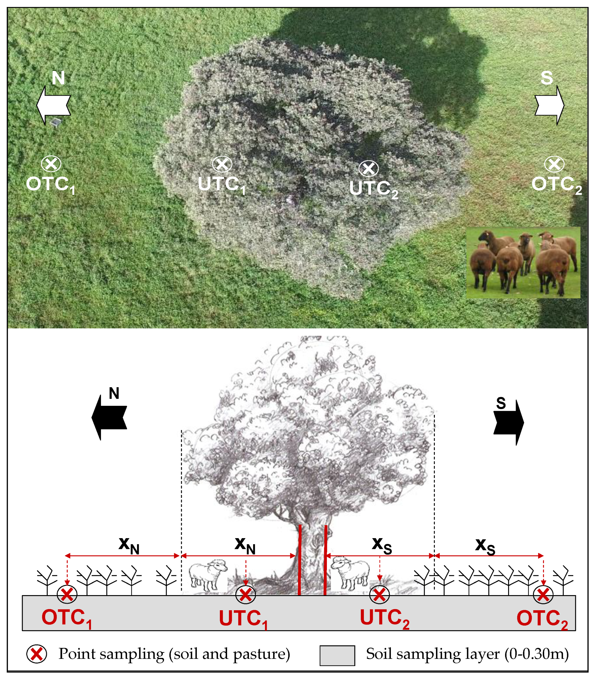 Agriculture 11 01128 g002