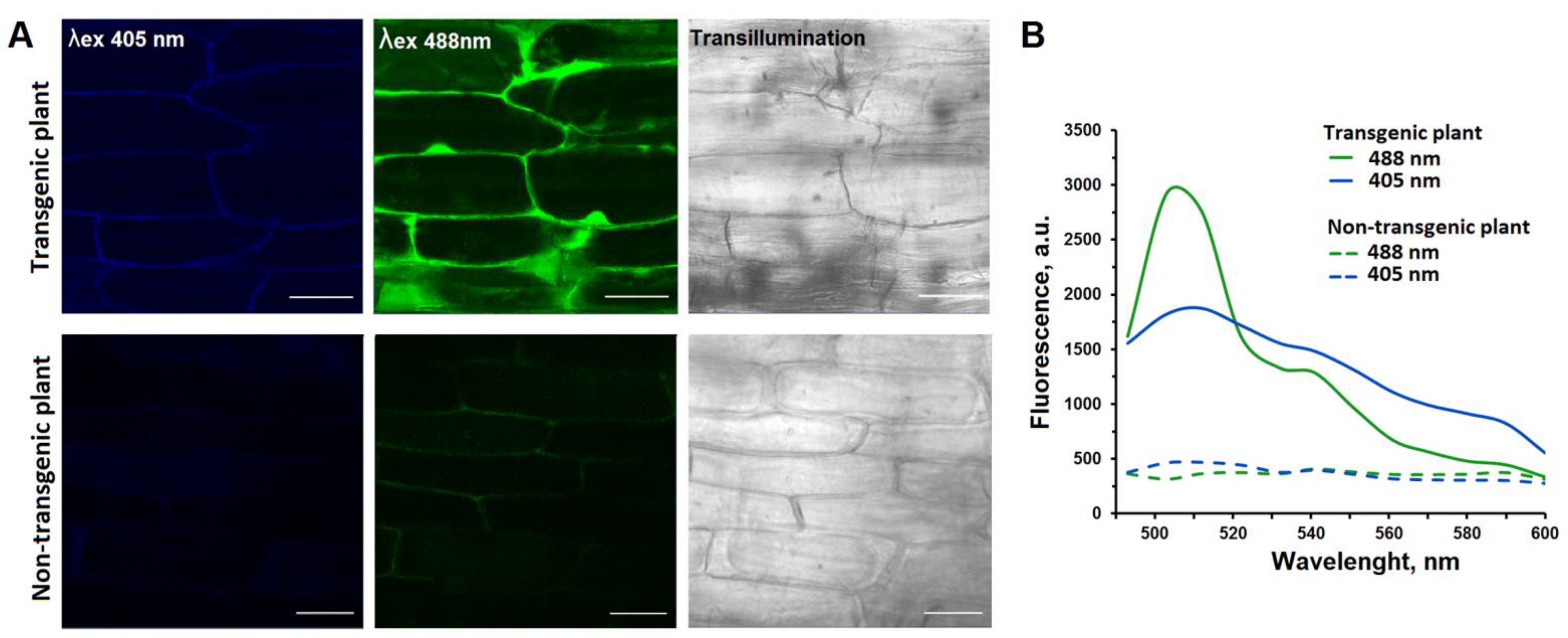 Agriculture 11 01131 g002