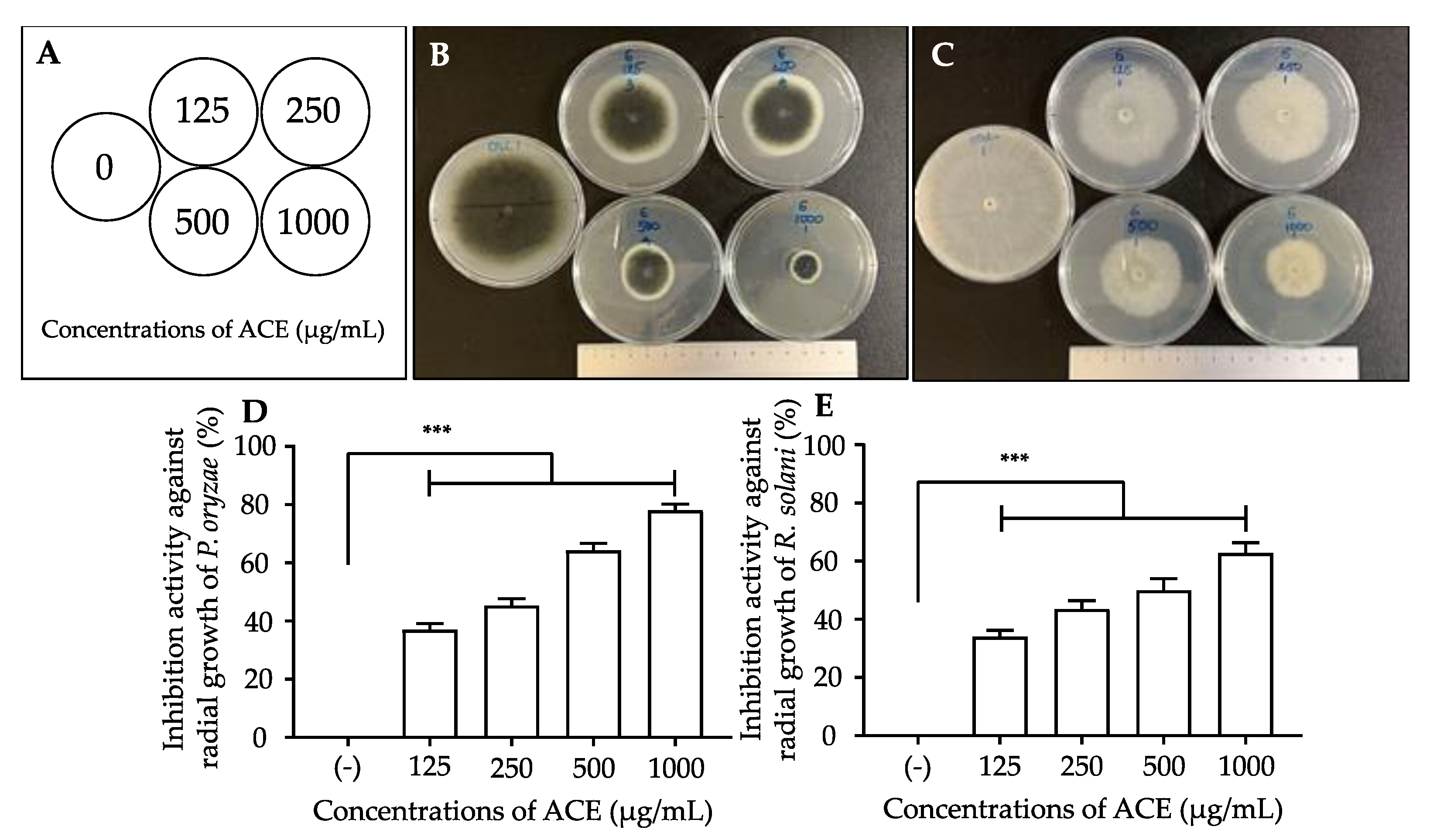 Agriculture 11 01169 g001