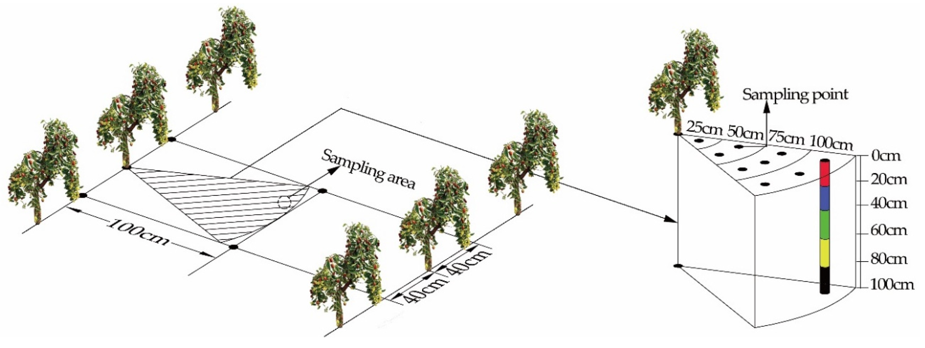 Agriculture 11 01184 g002