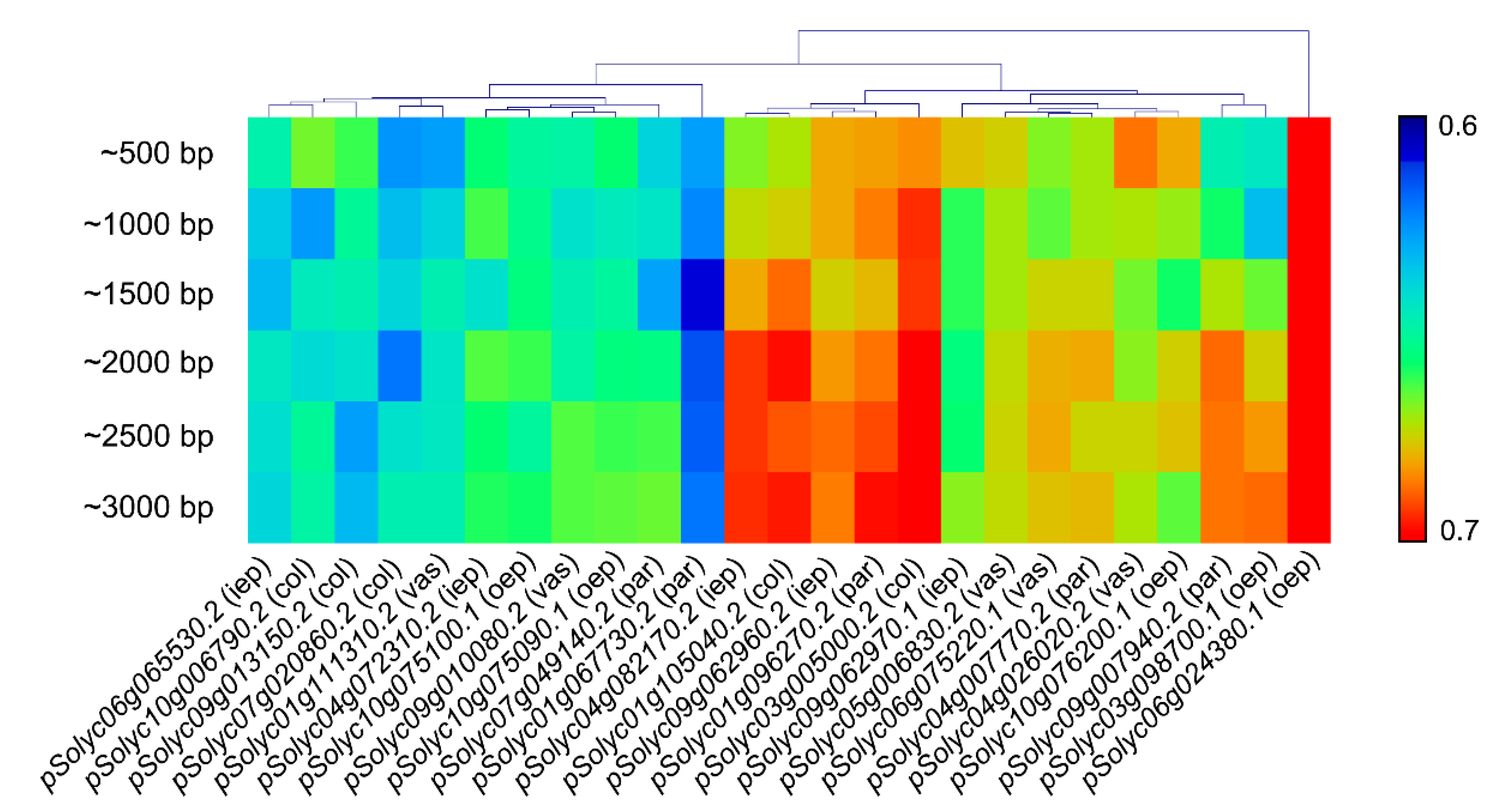 Agriculture 11 01195 g003 Agriculture 11 01195 g003