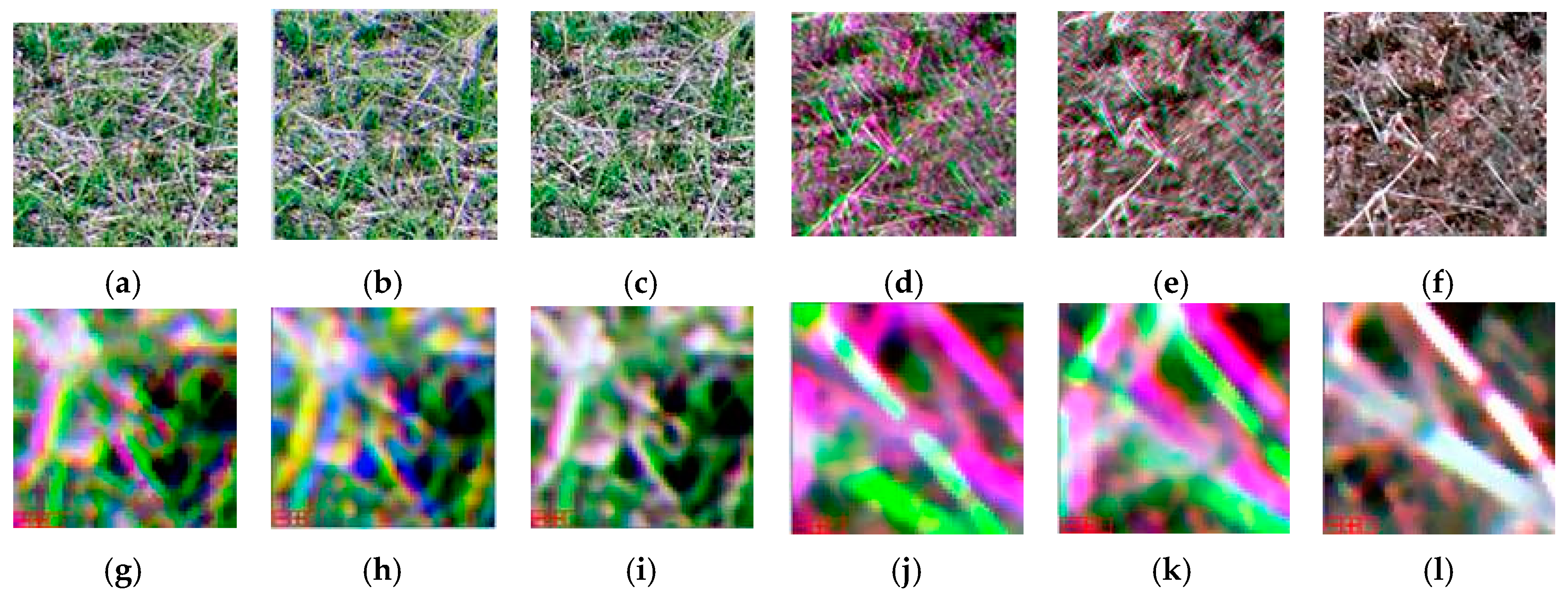 Agriculture 11 01262 g005