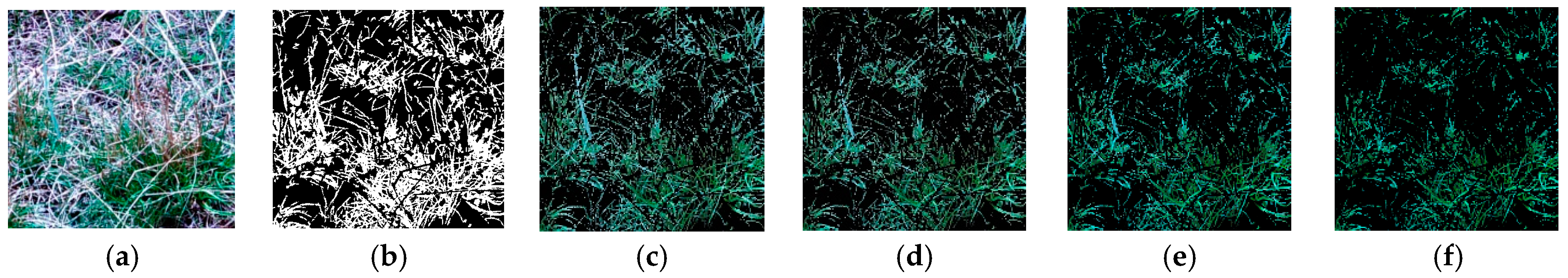 Agriculture 11 01262 g010