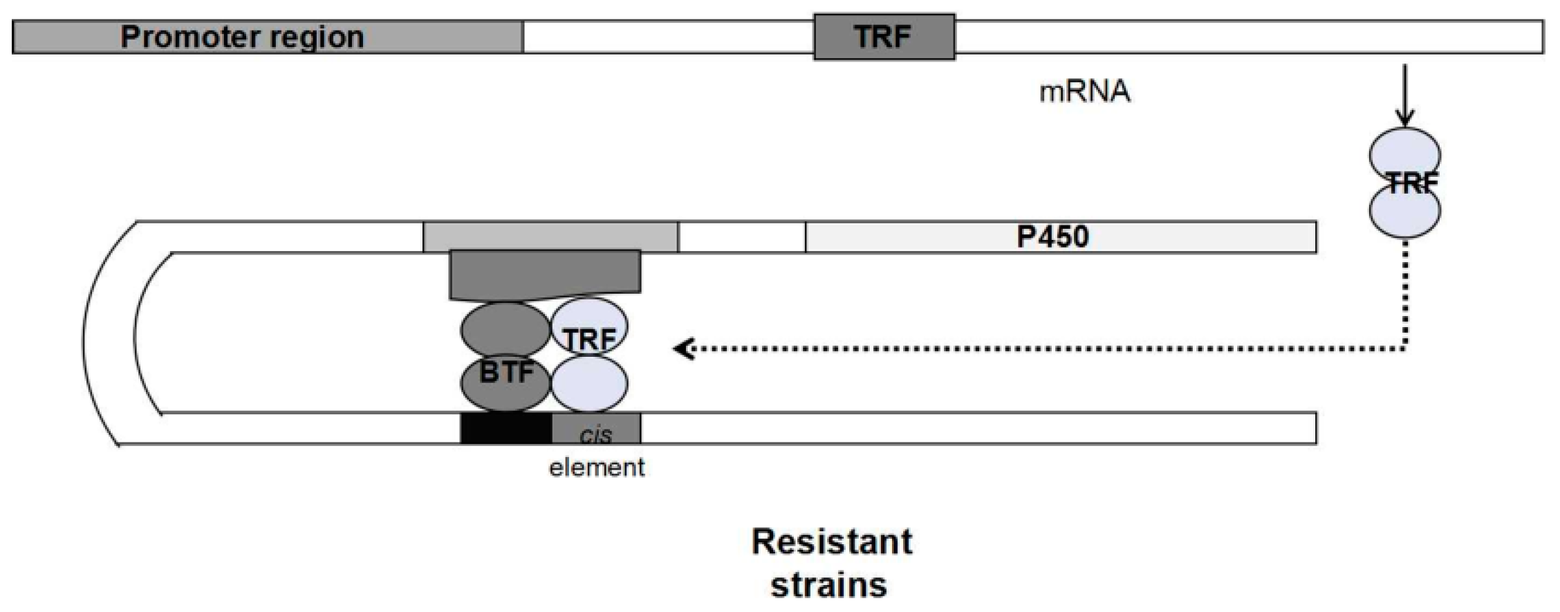 Agriculture 12 00053 g002
