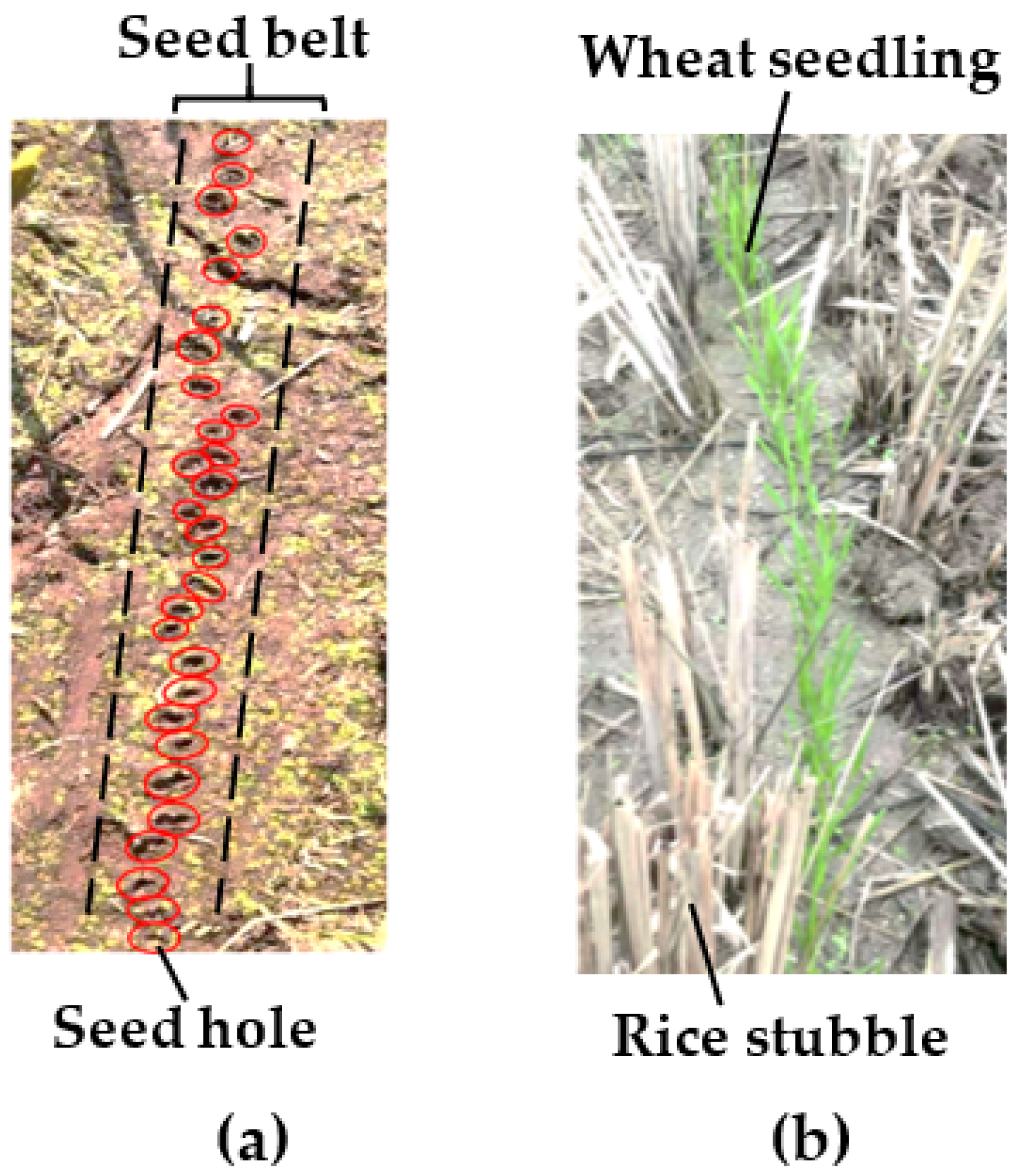 Agriculture 12 00056 g007