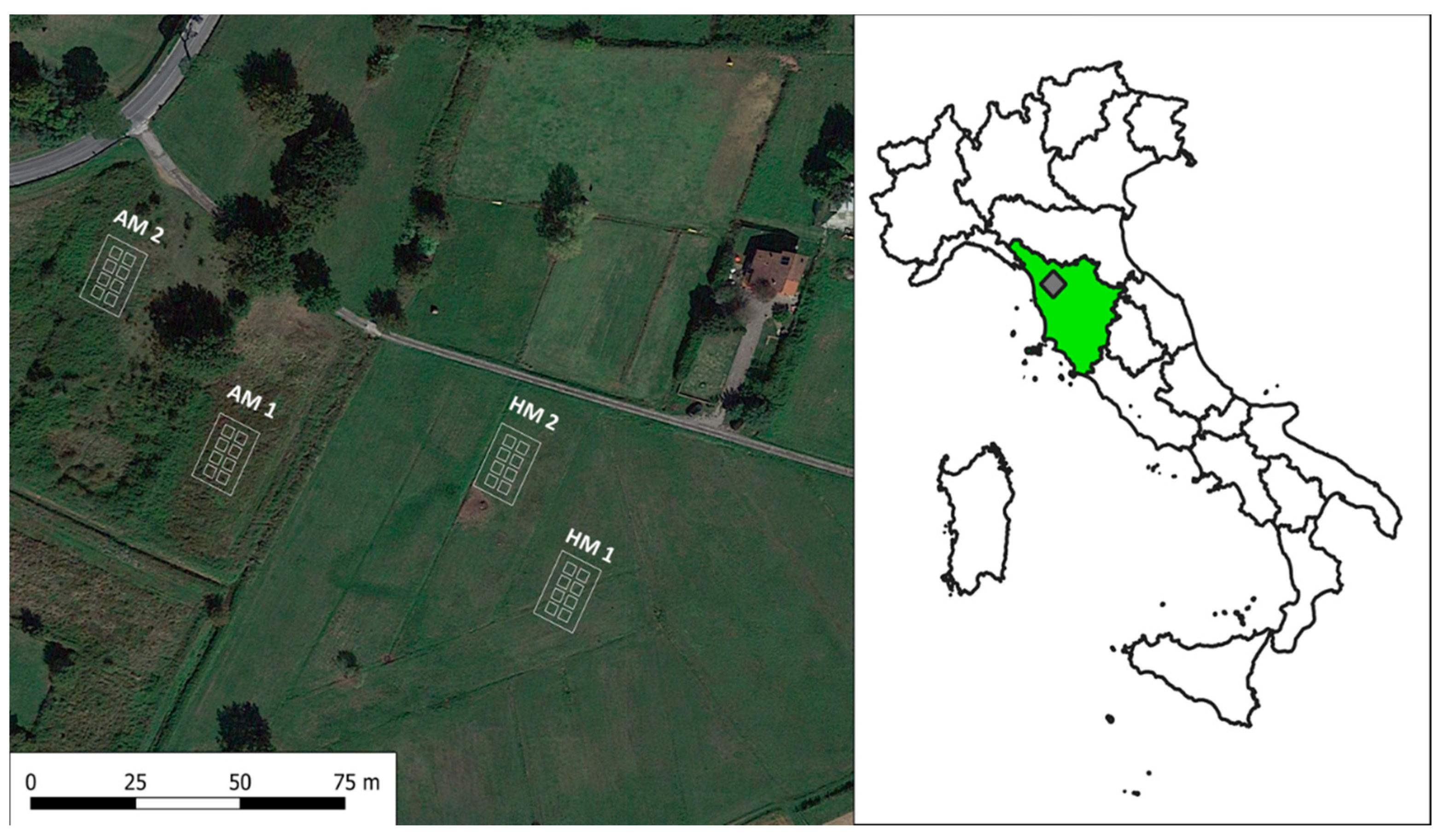 Agriculture | Free Full-Text | Short-Term Abandonment versus Mowing in a  Mediterranean-Temperate Meadow: Effects on Floristic Composition, Plant  Functionality, and Soil Properties&mdash;A Case Study | HTML