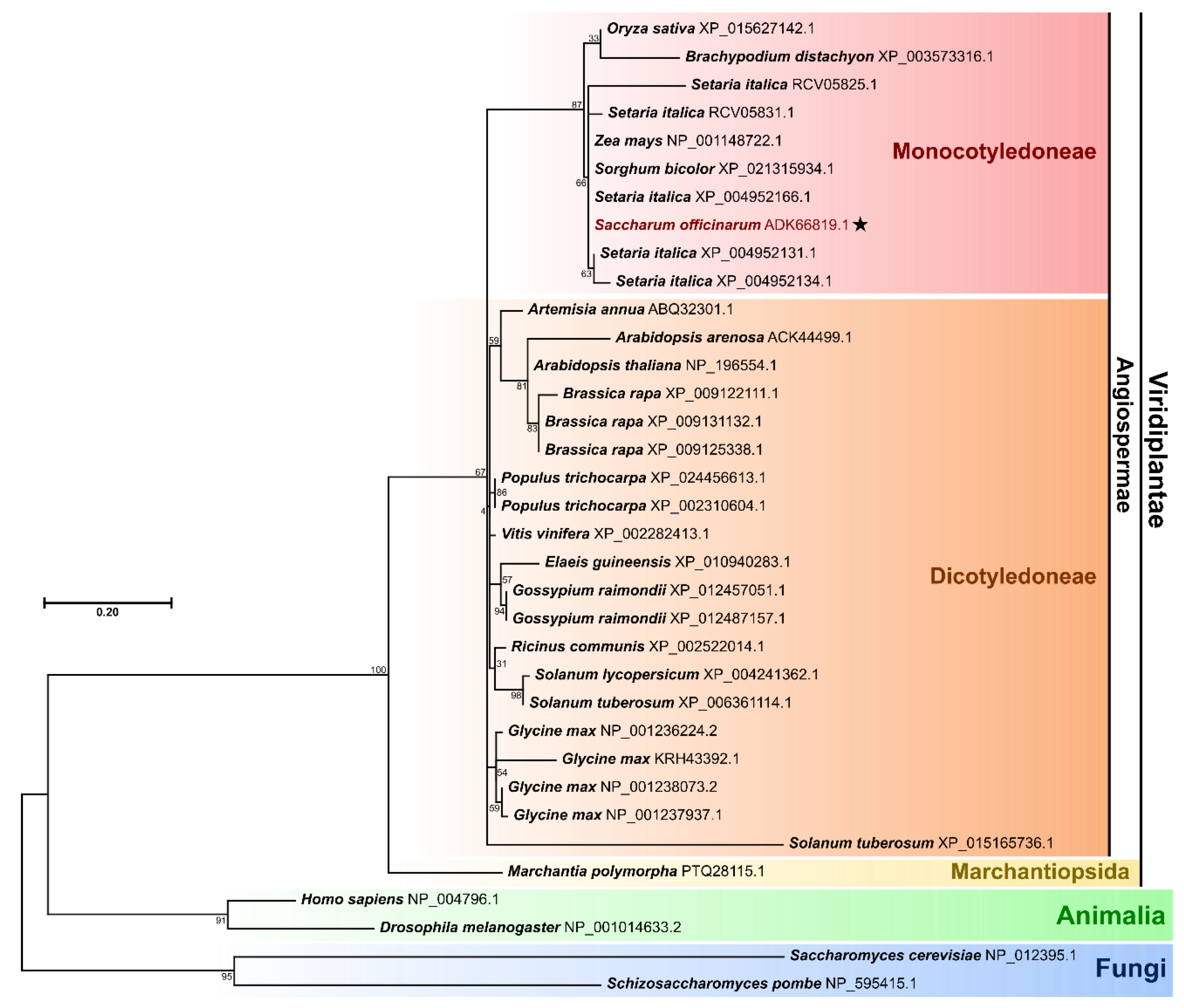 Agriculture 12 00081 g002