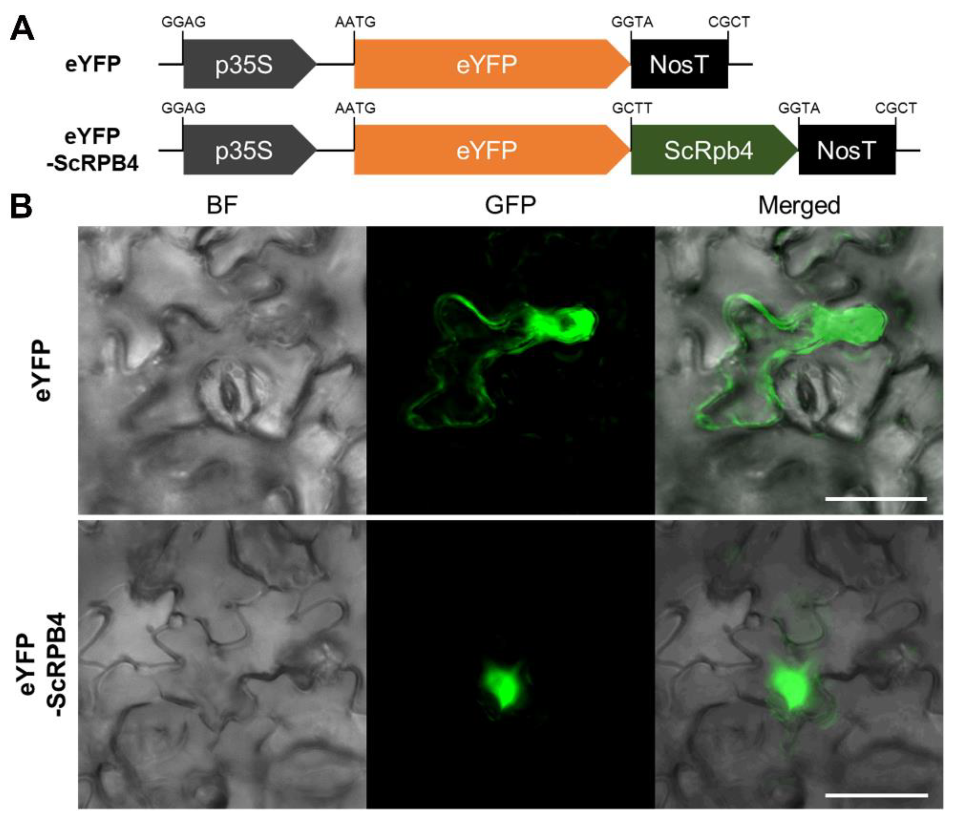 Agriculture 12 00081 g003