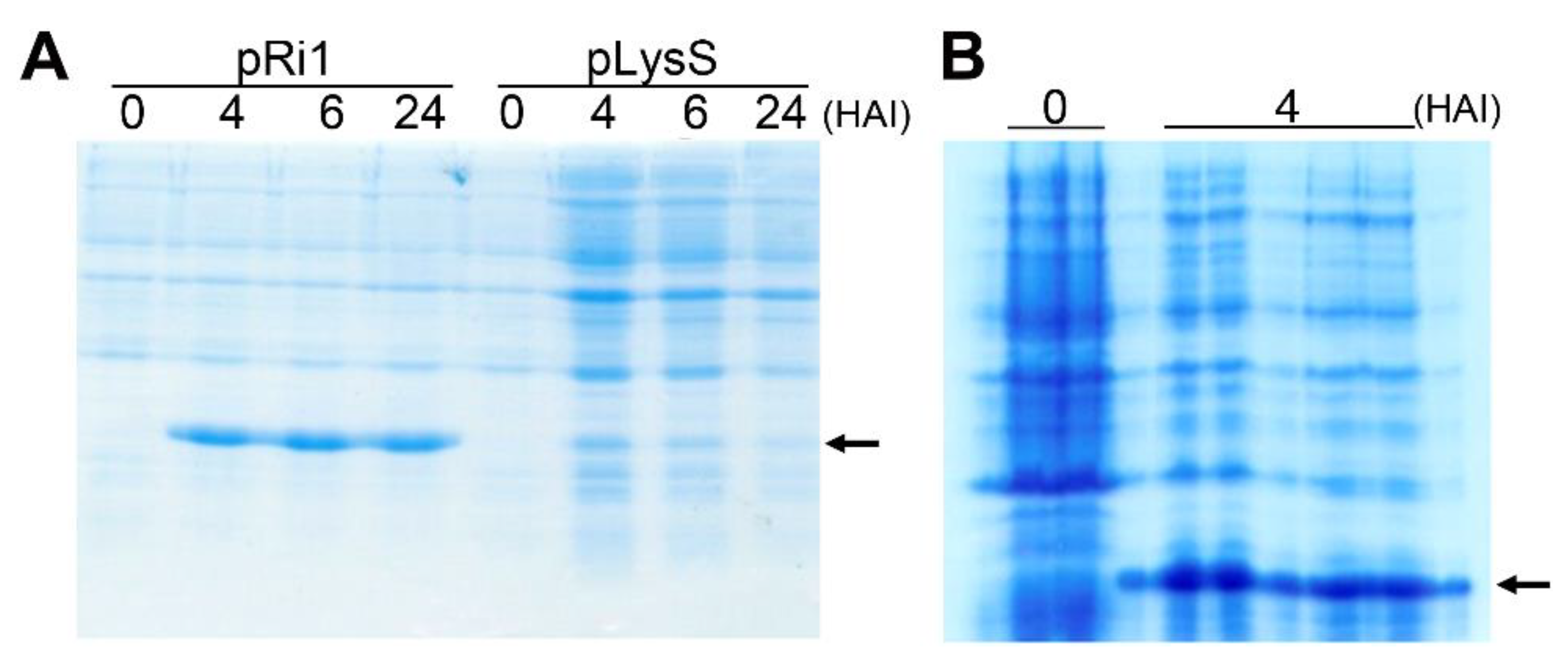 Agriculture 12 00081 g004