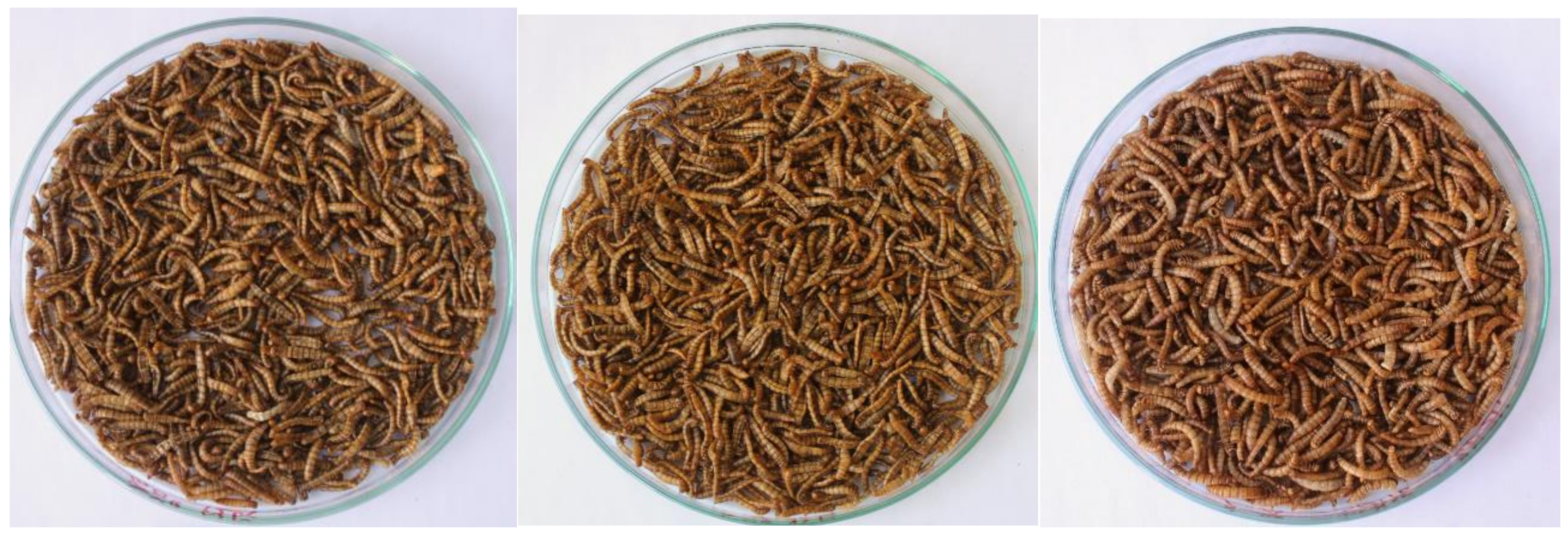 Agriculture 12 00149 g003