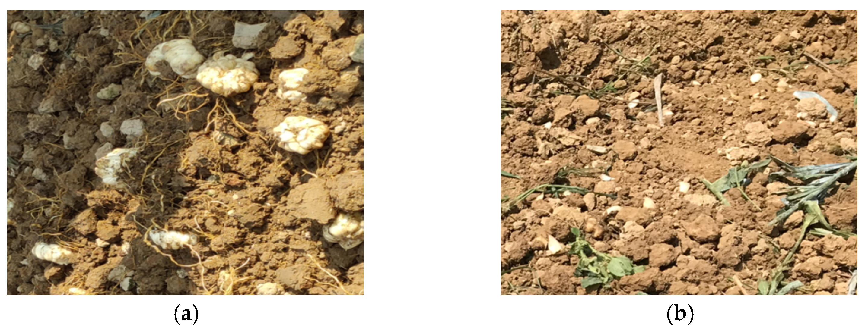 Agriculture 12 00175 g003