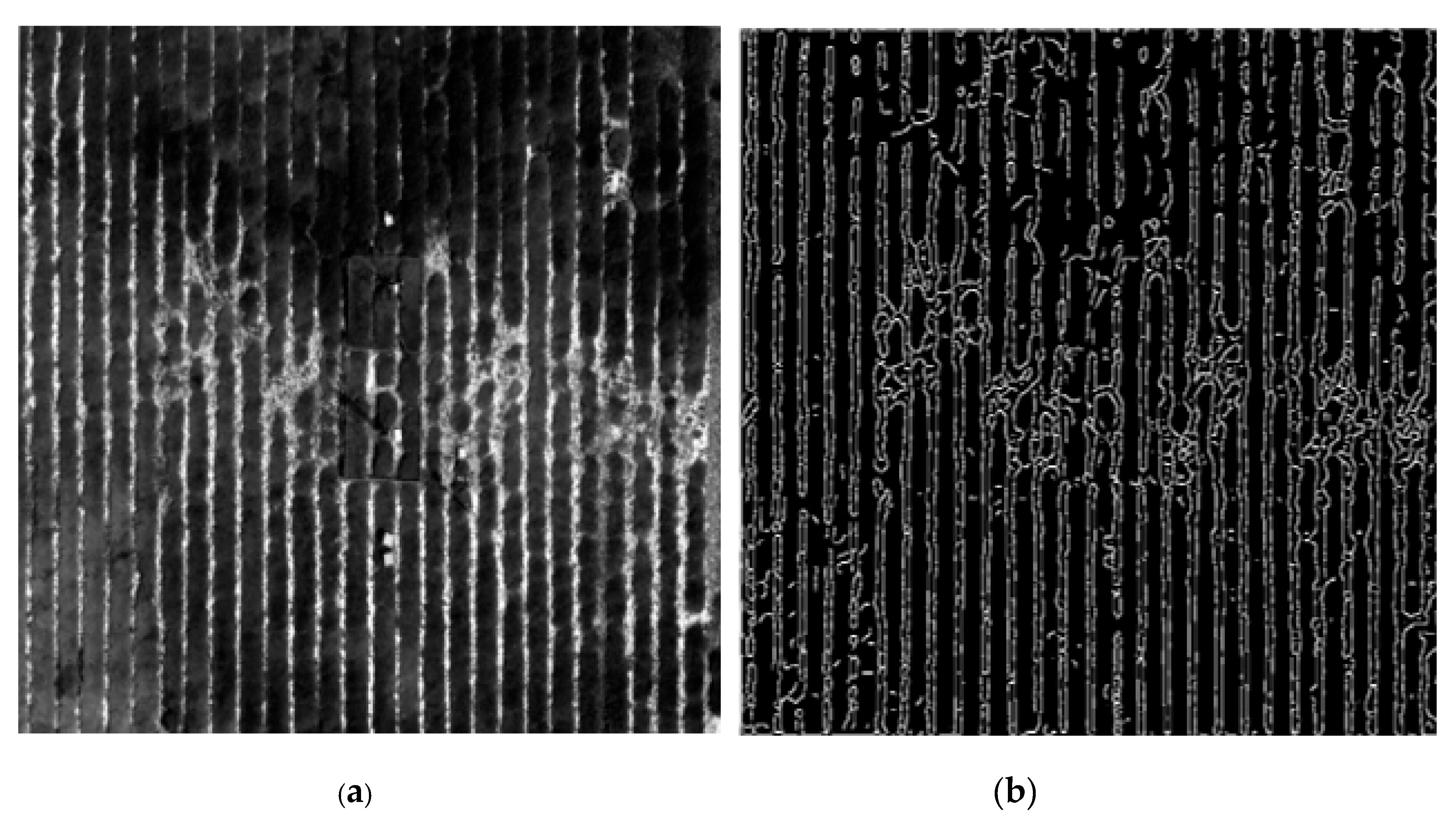 Agriculture 12 00184 g004
