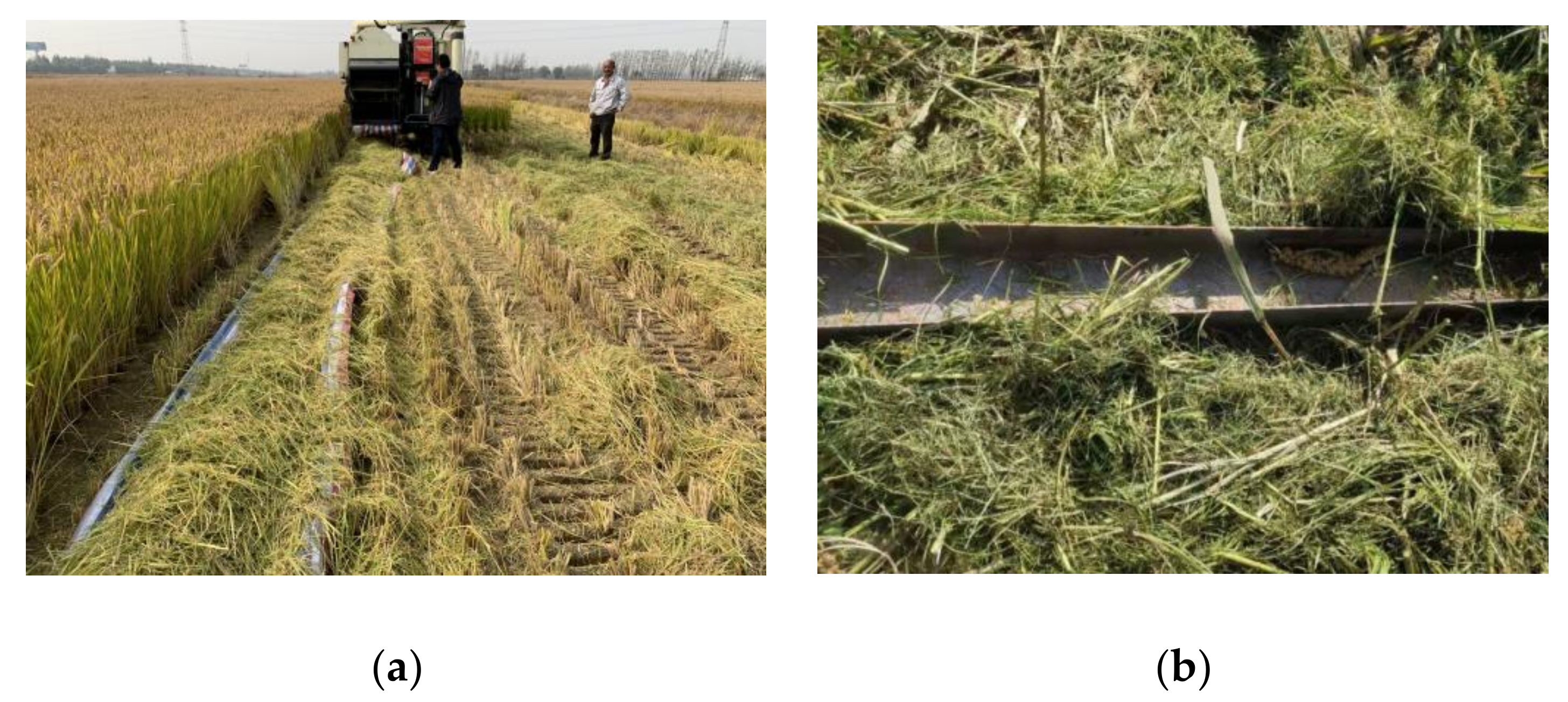 Agriculture 12 00213 g016a