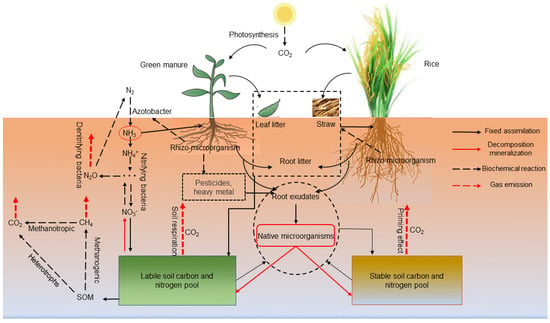 Sustainability | Free Full-Text | Climate-Smart Agriculture Technologies  and Determinants of Farmers’ Adoption Decisions in the Great Rift  Valley of Ethiopia