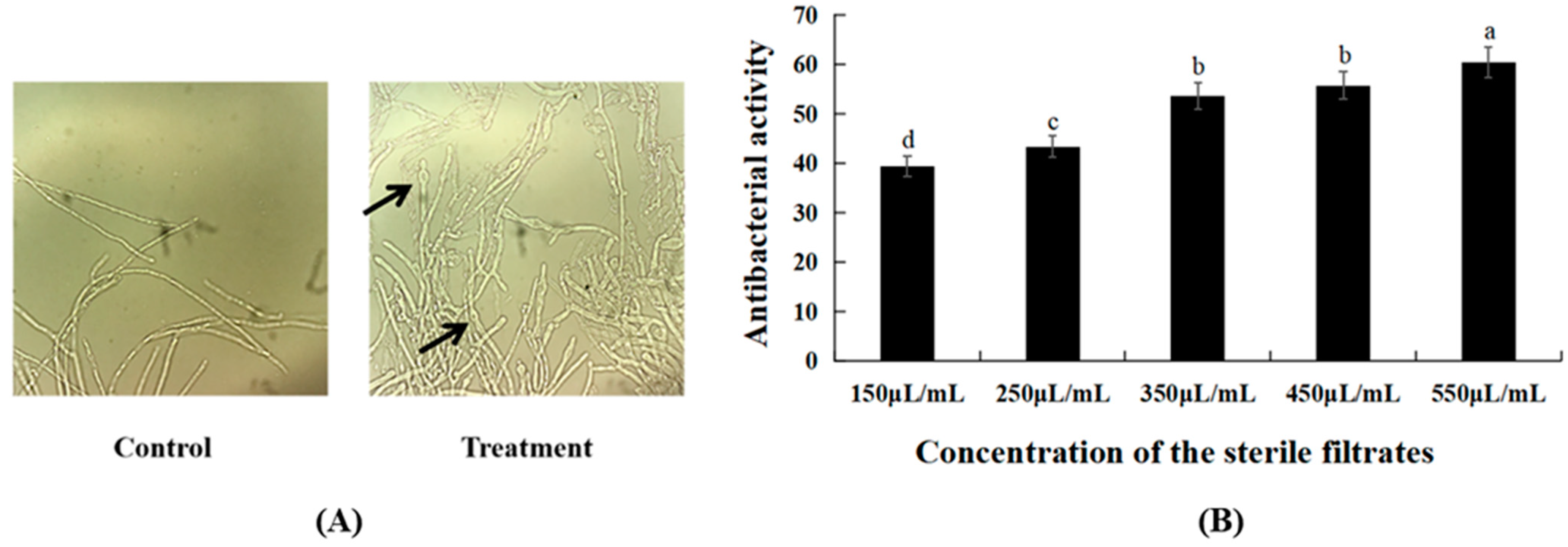 Agriculture 12 00258 g001 Agriculture 12 00258 g001