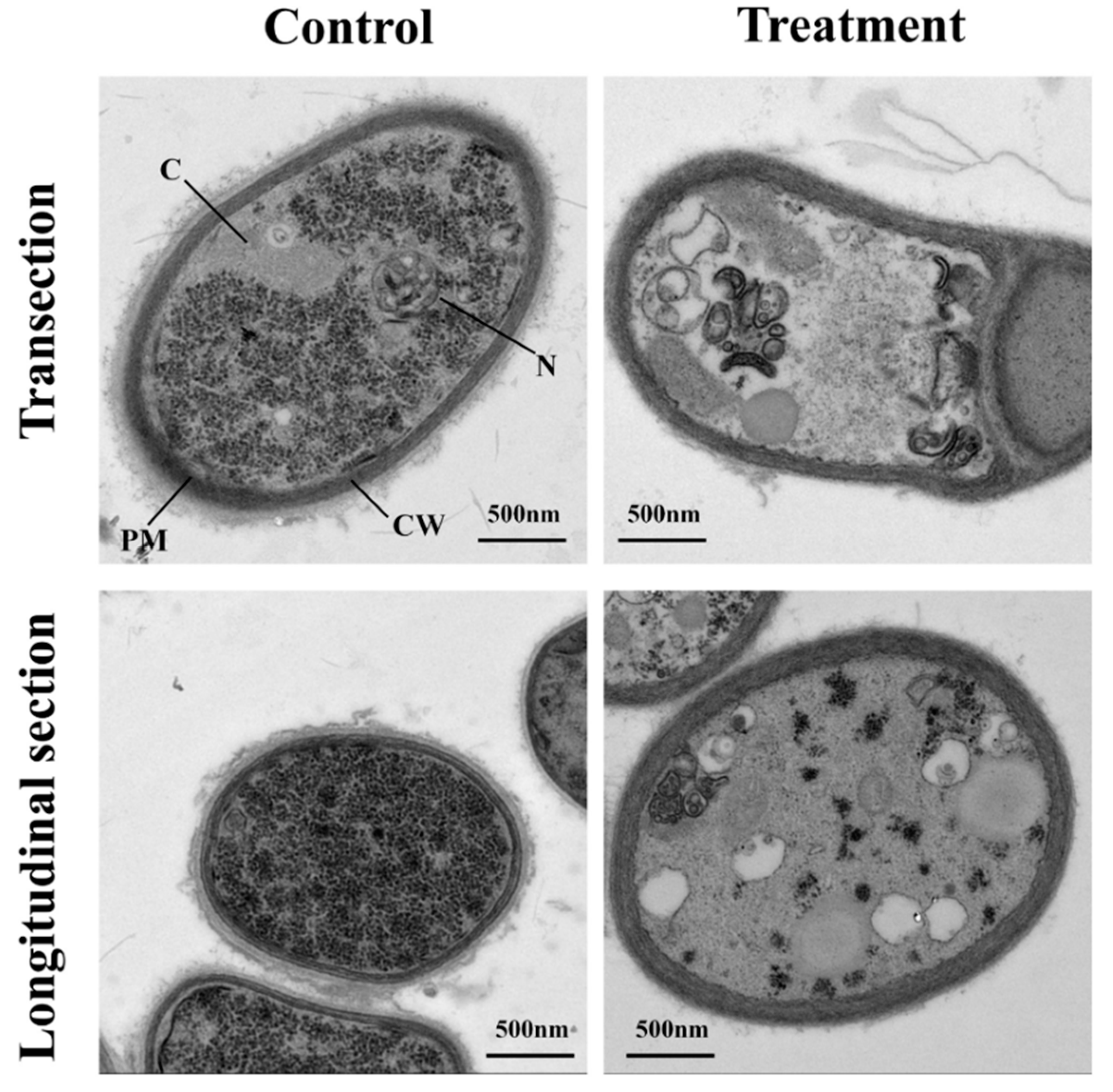 Agriculture 12 00258 g002 Agriculture 12 00258 g002