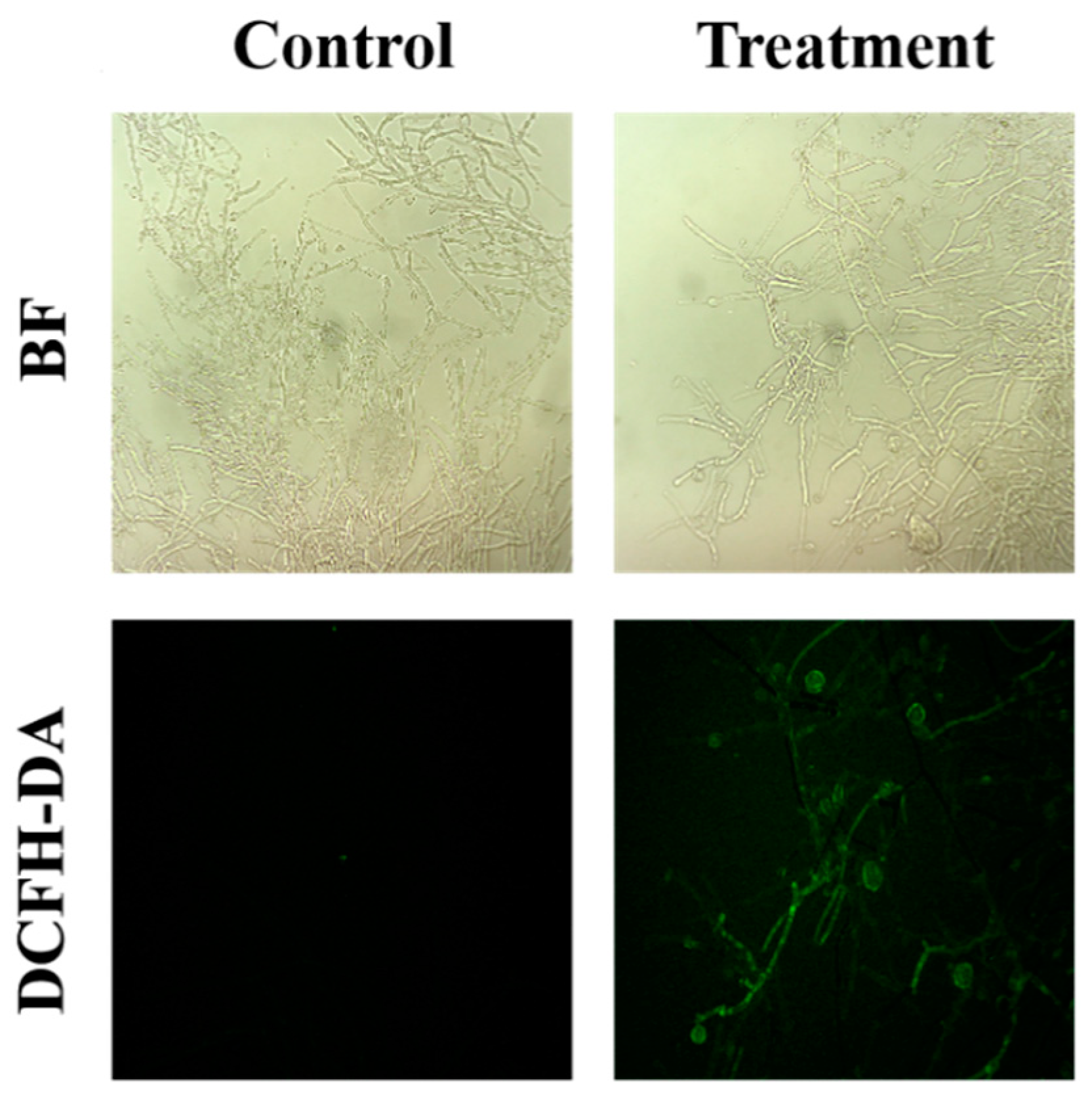 Agriculture 12 00258 g004 Agriculture 12 00258 g004