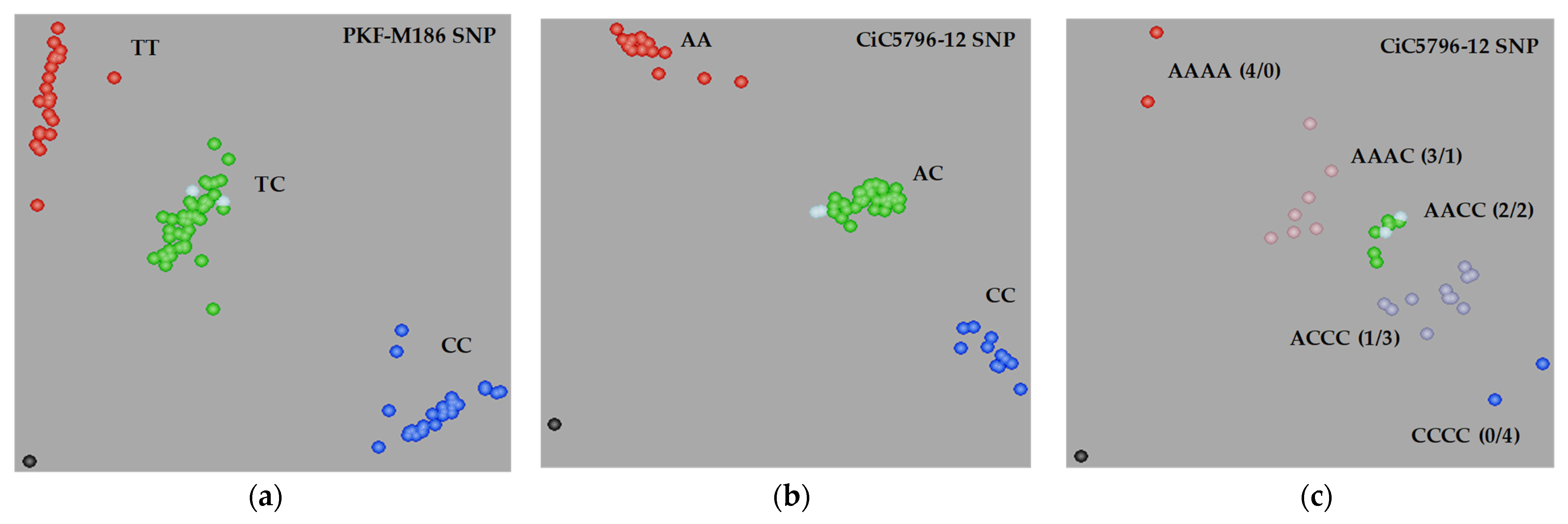 Agriculture 12 00273 g004