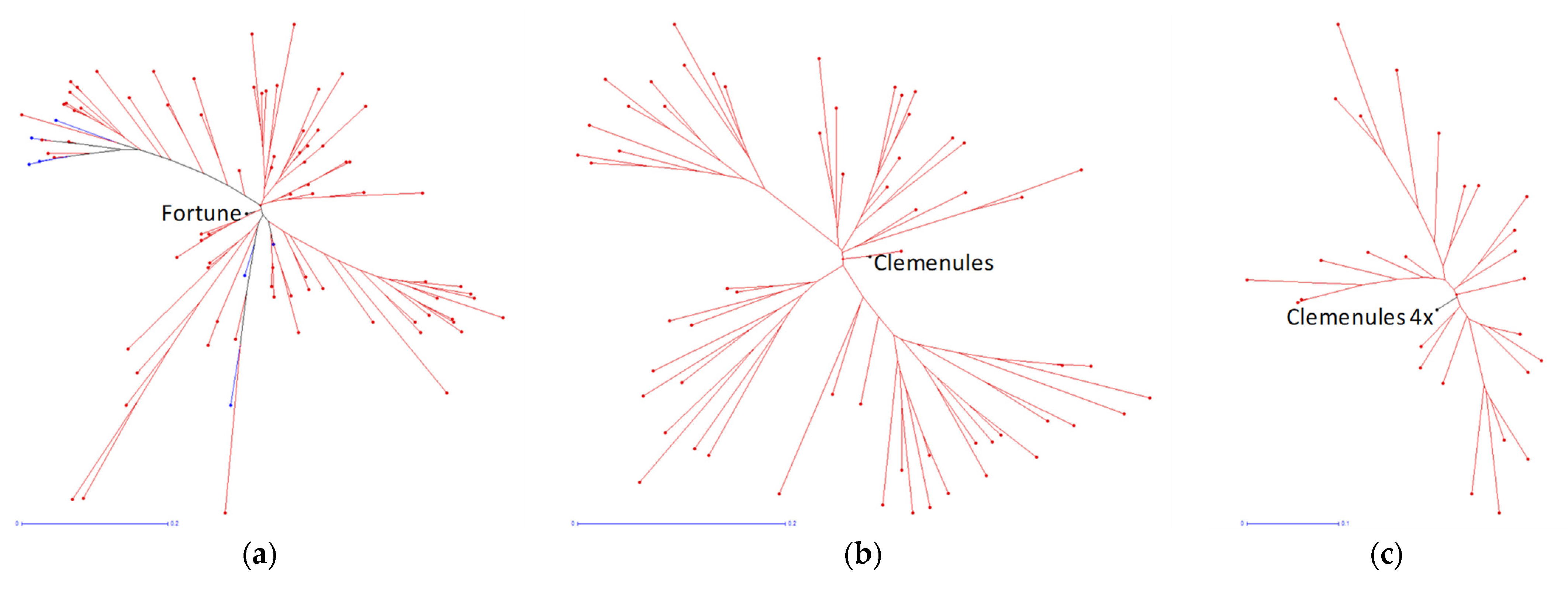 Agriculture 12 00273 g005
