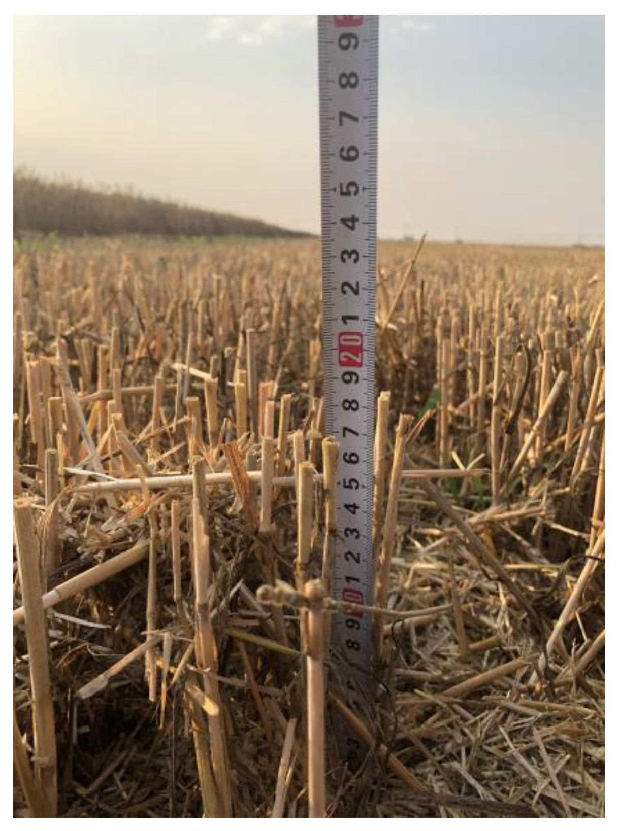 Agriculture 12 00282 g019