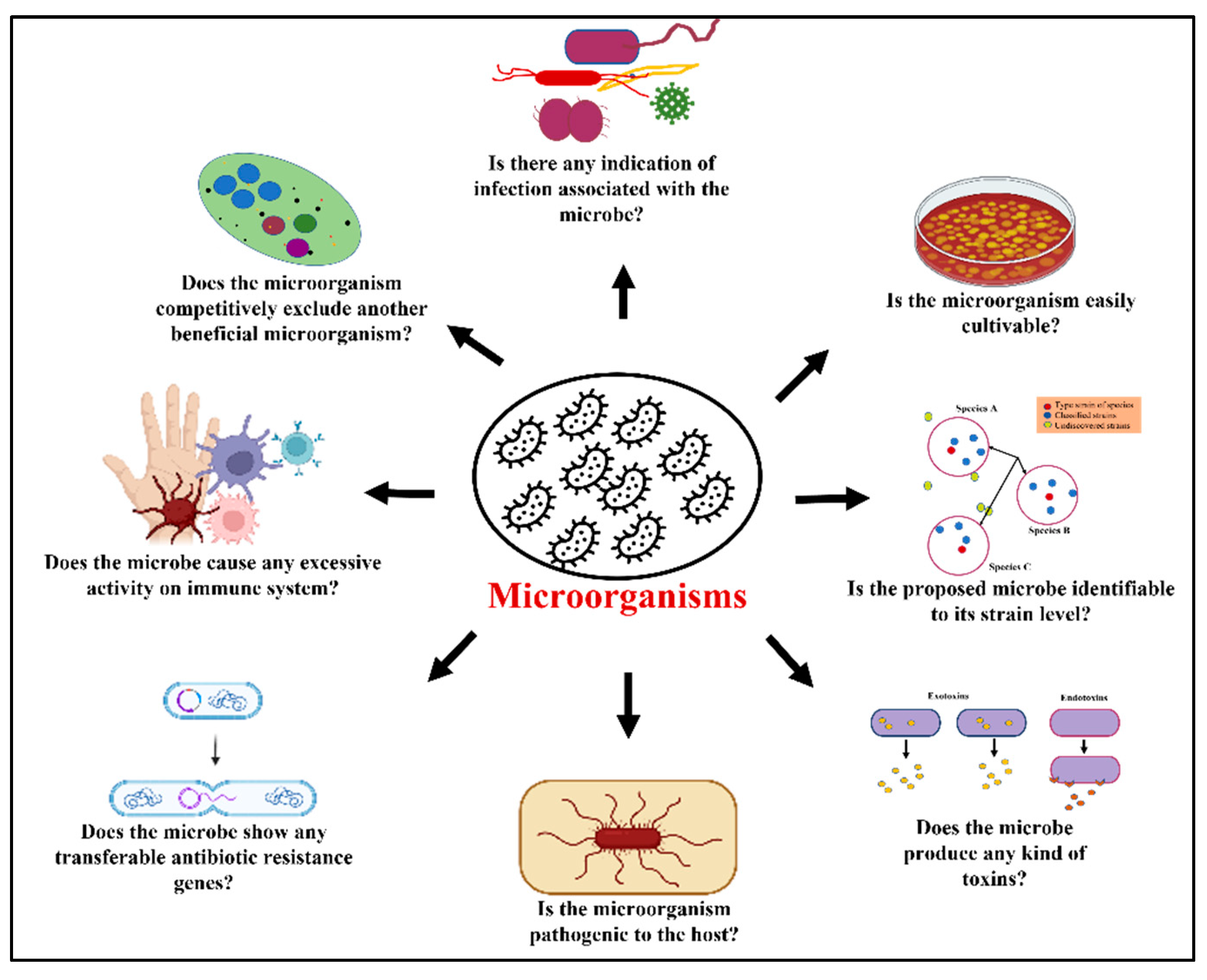 Agriculture | Free Full-Text | Recent Advances In Probiotic Application ...