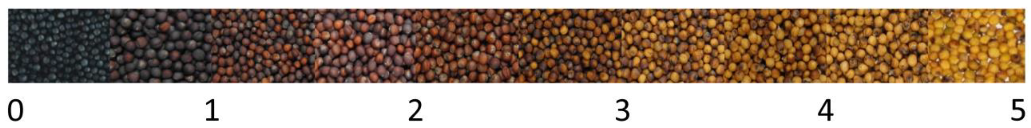 Agriculture 12 00340 g001